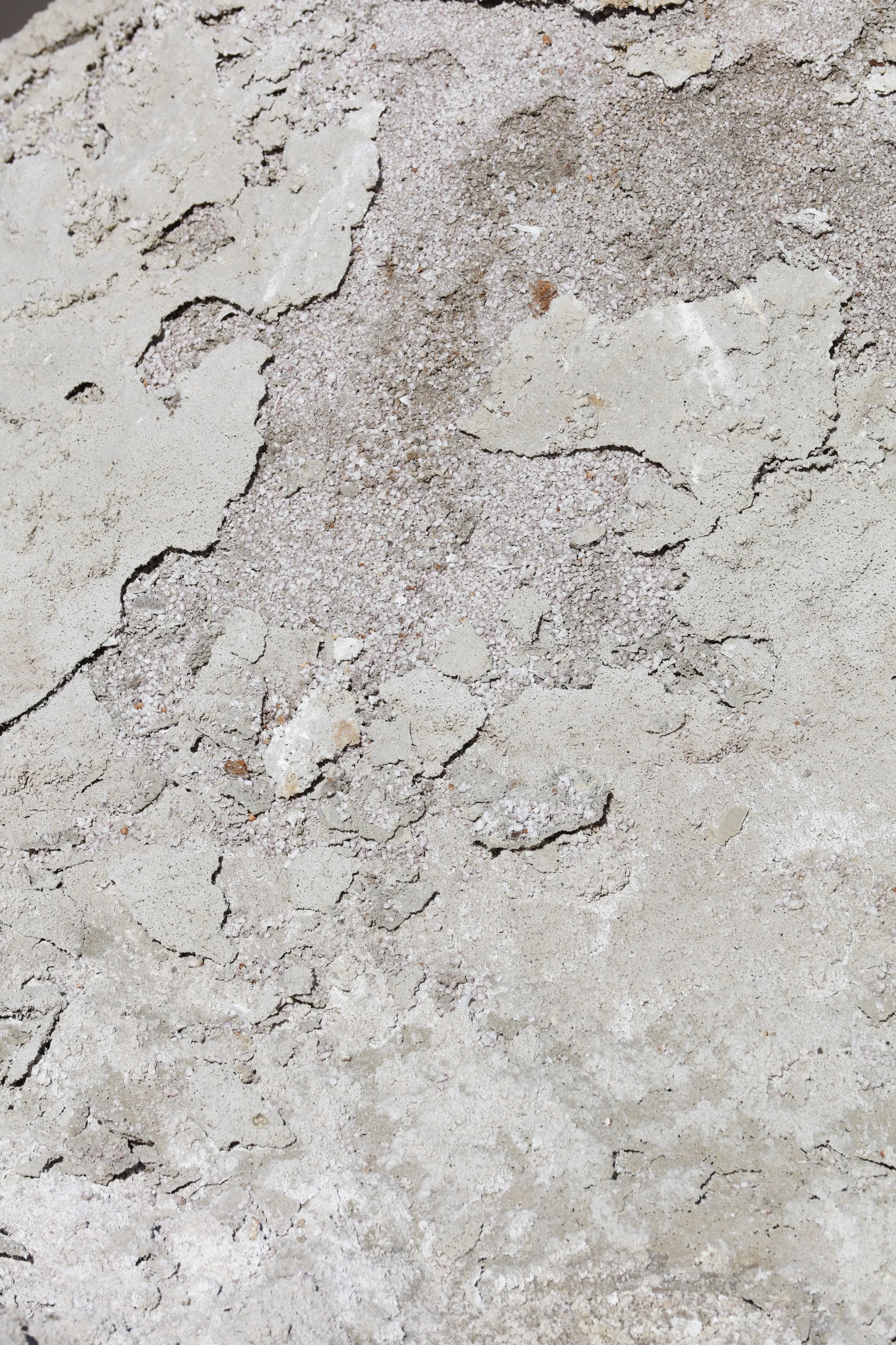 022016_SyncLyte_097.JPG