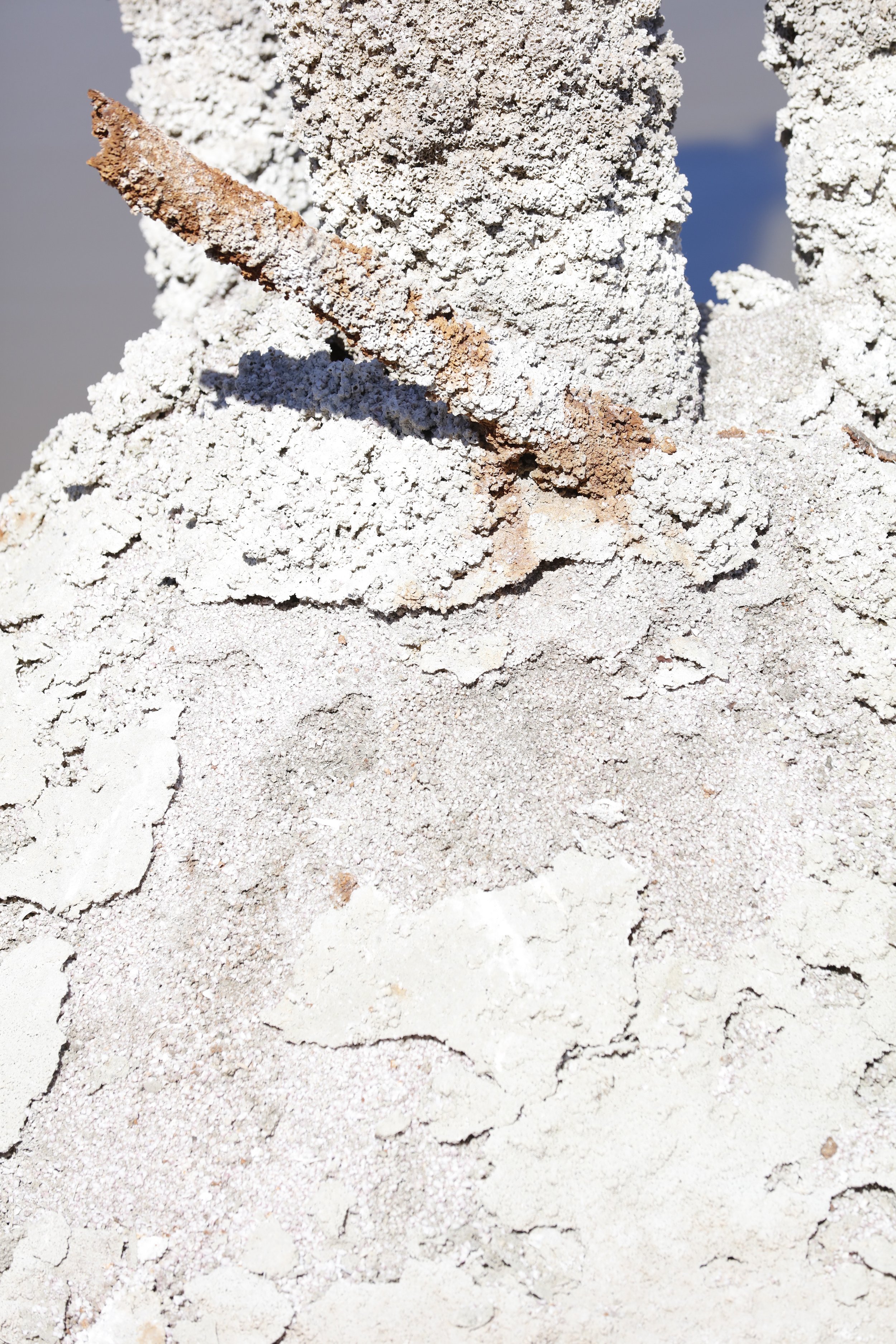022016_SyncLyte_098.JPG