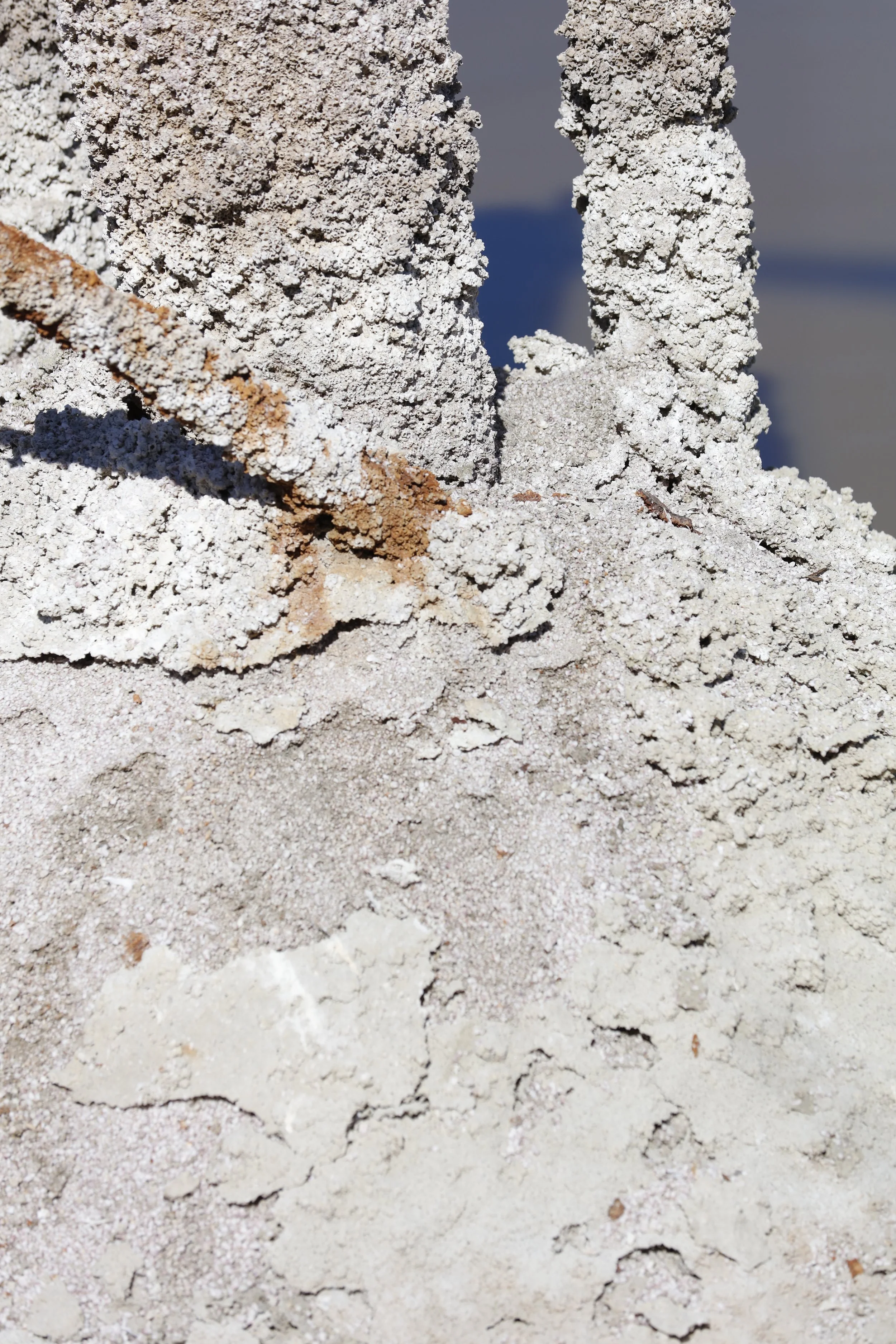 022016_SyncLyte_099.JPG