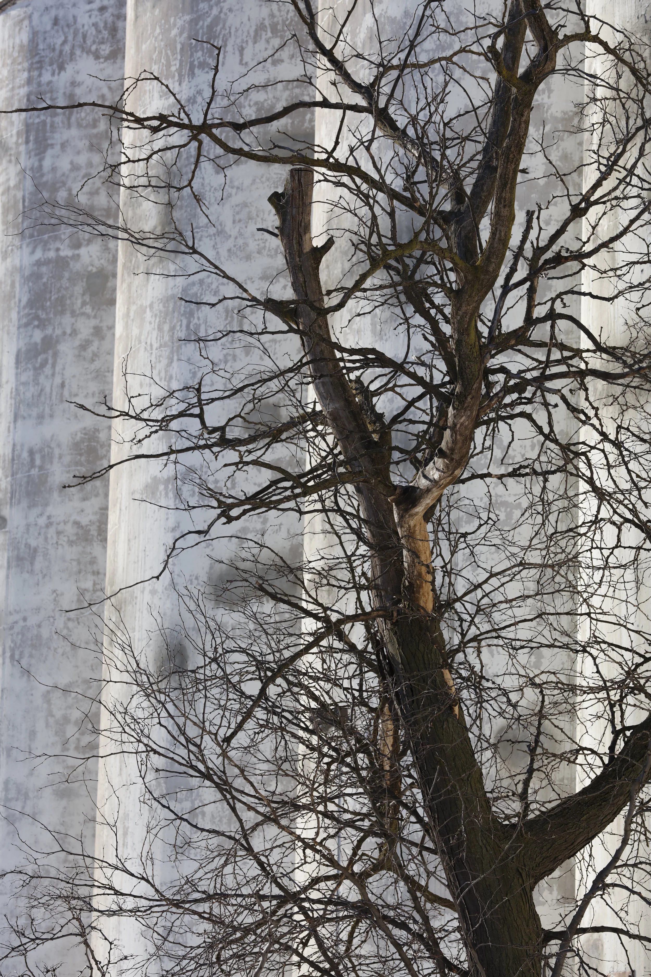 020916_SyncLyte_053.JPG
