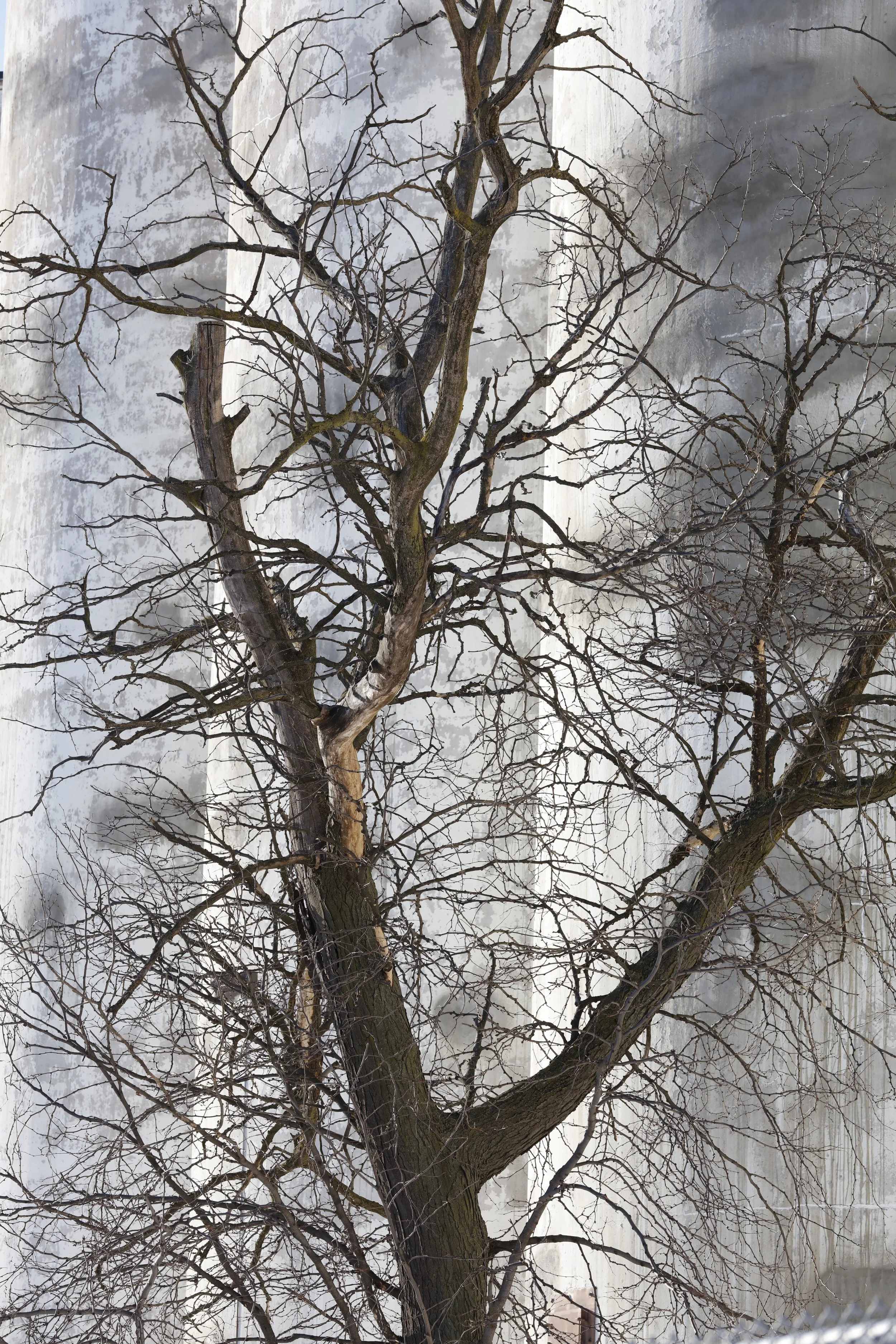 020916_SyncLyte_054.JPG