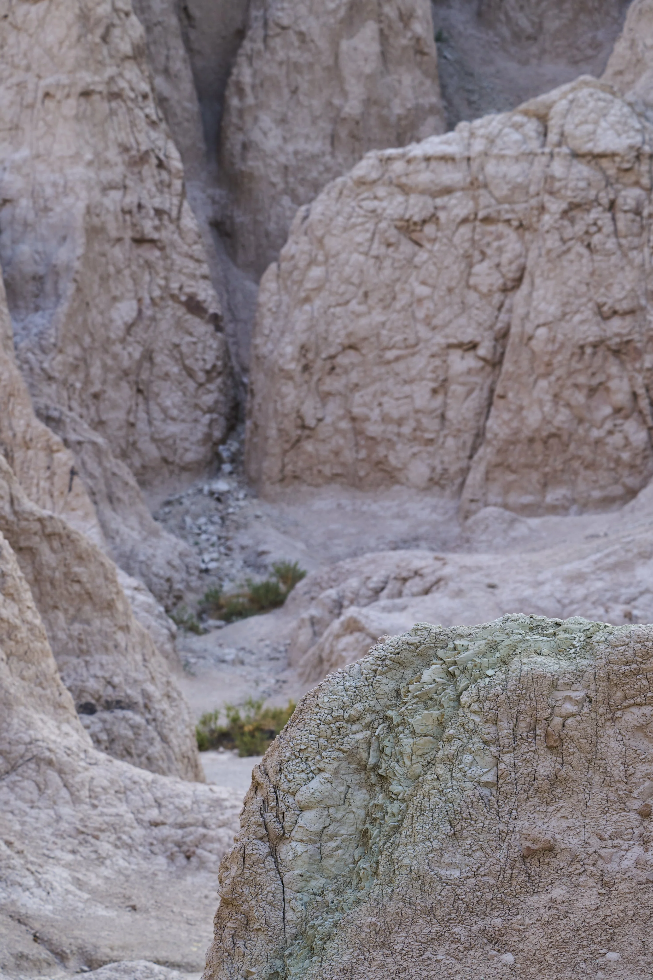 _DSC0090.jpg