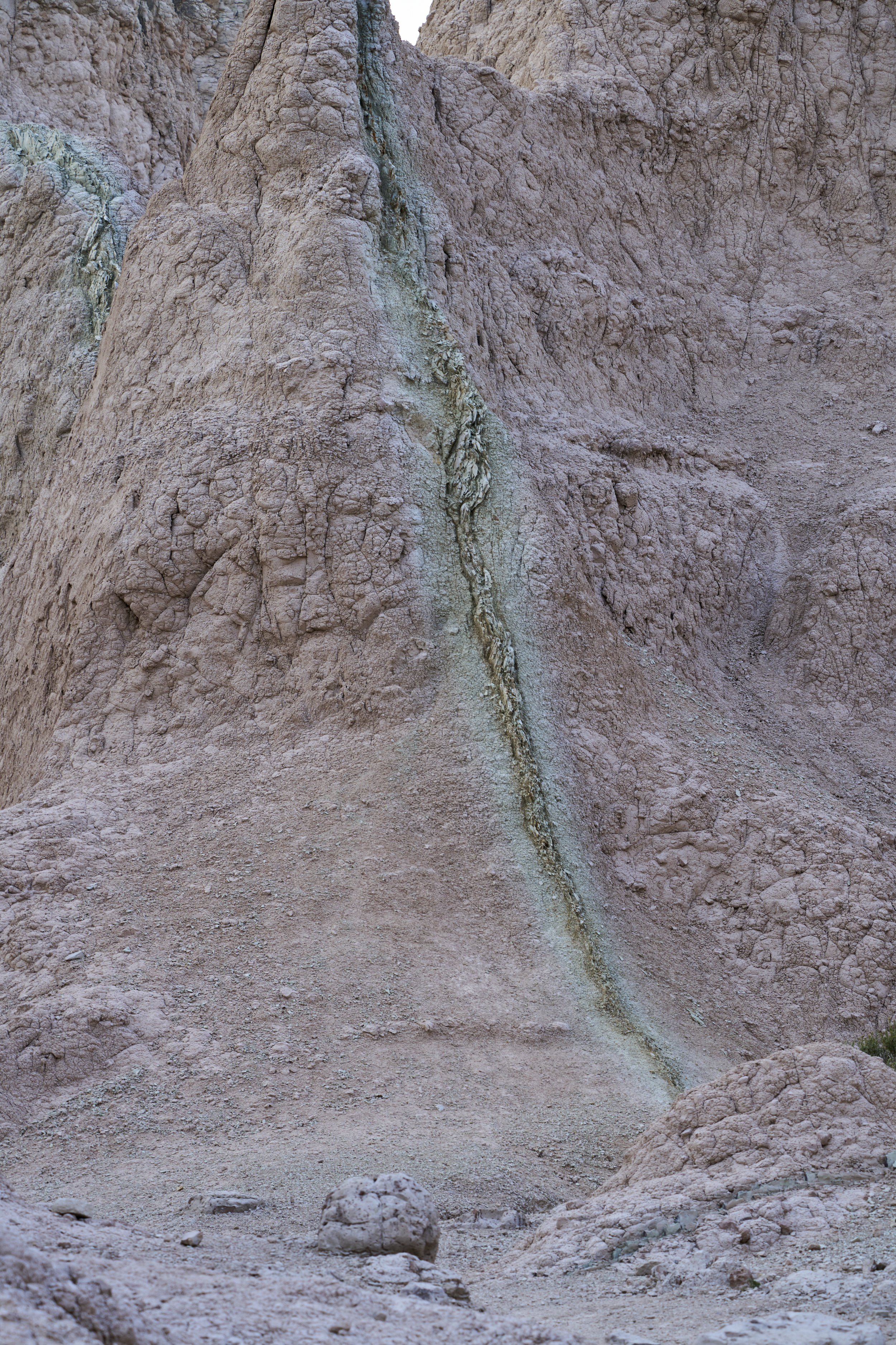 _DSC0018.jpg
