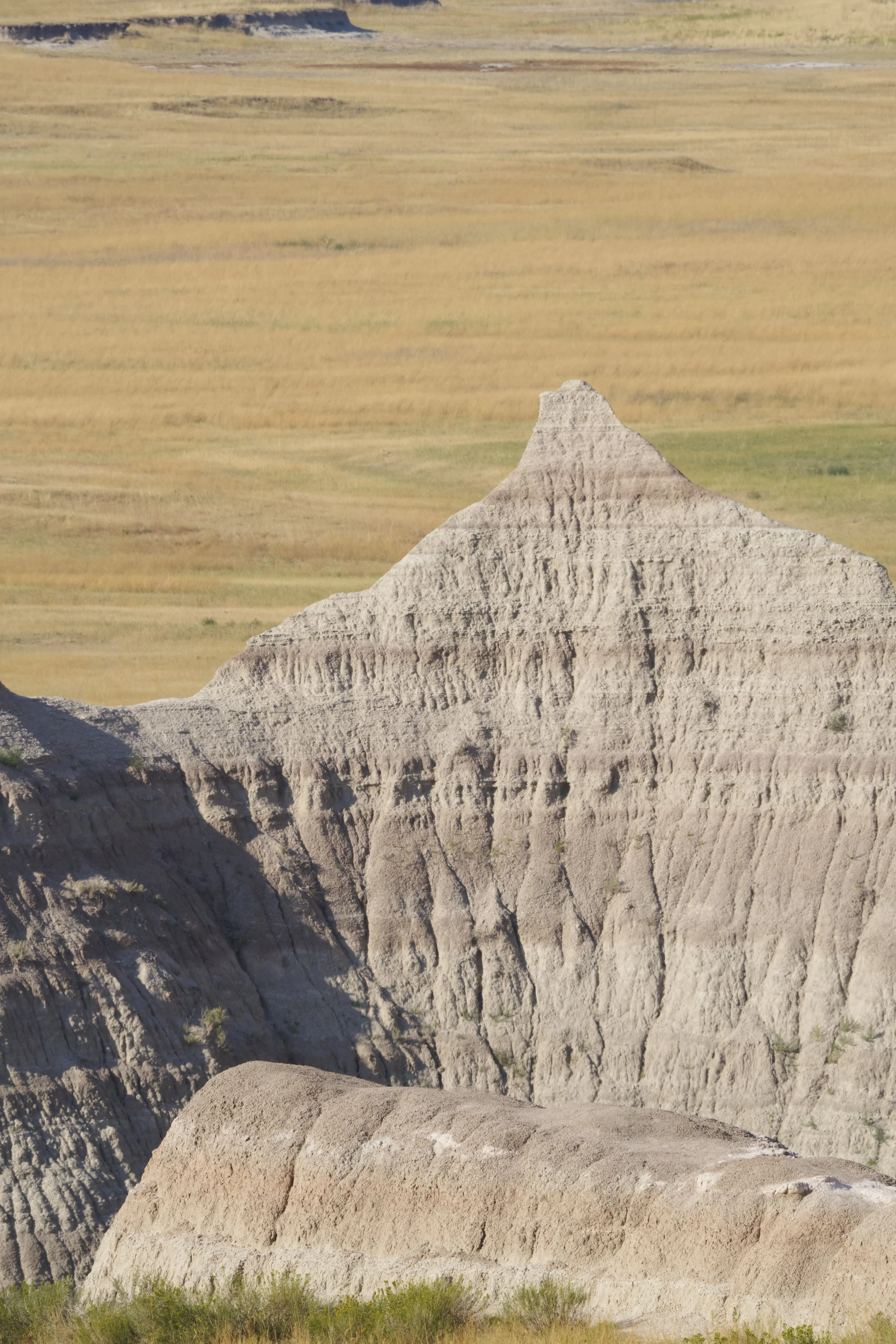 _DSC0337.jpg