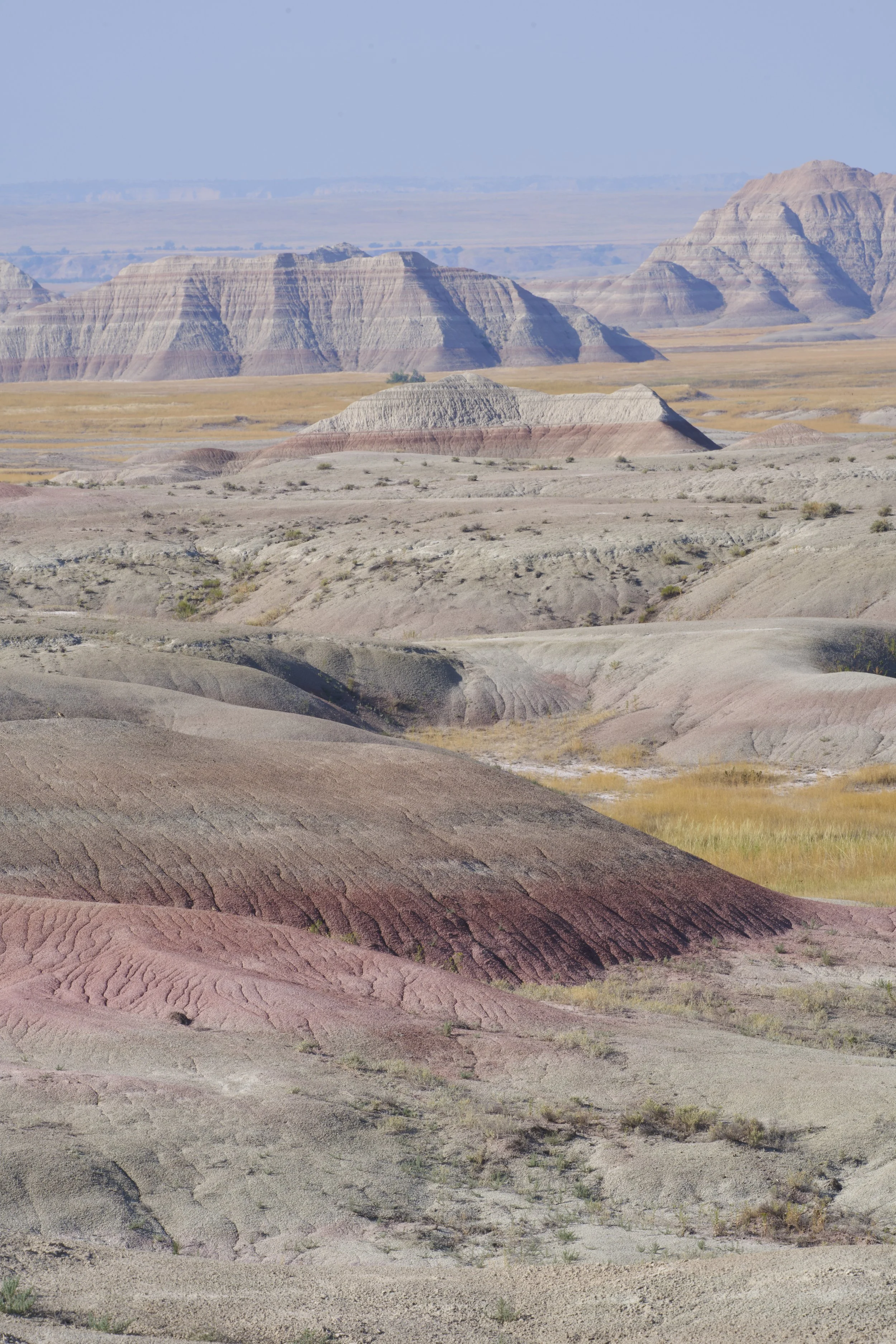 _DSC0354.jpg