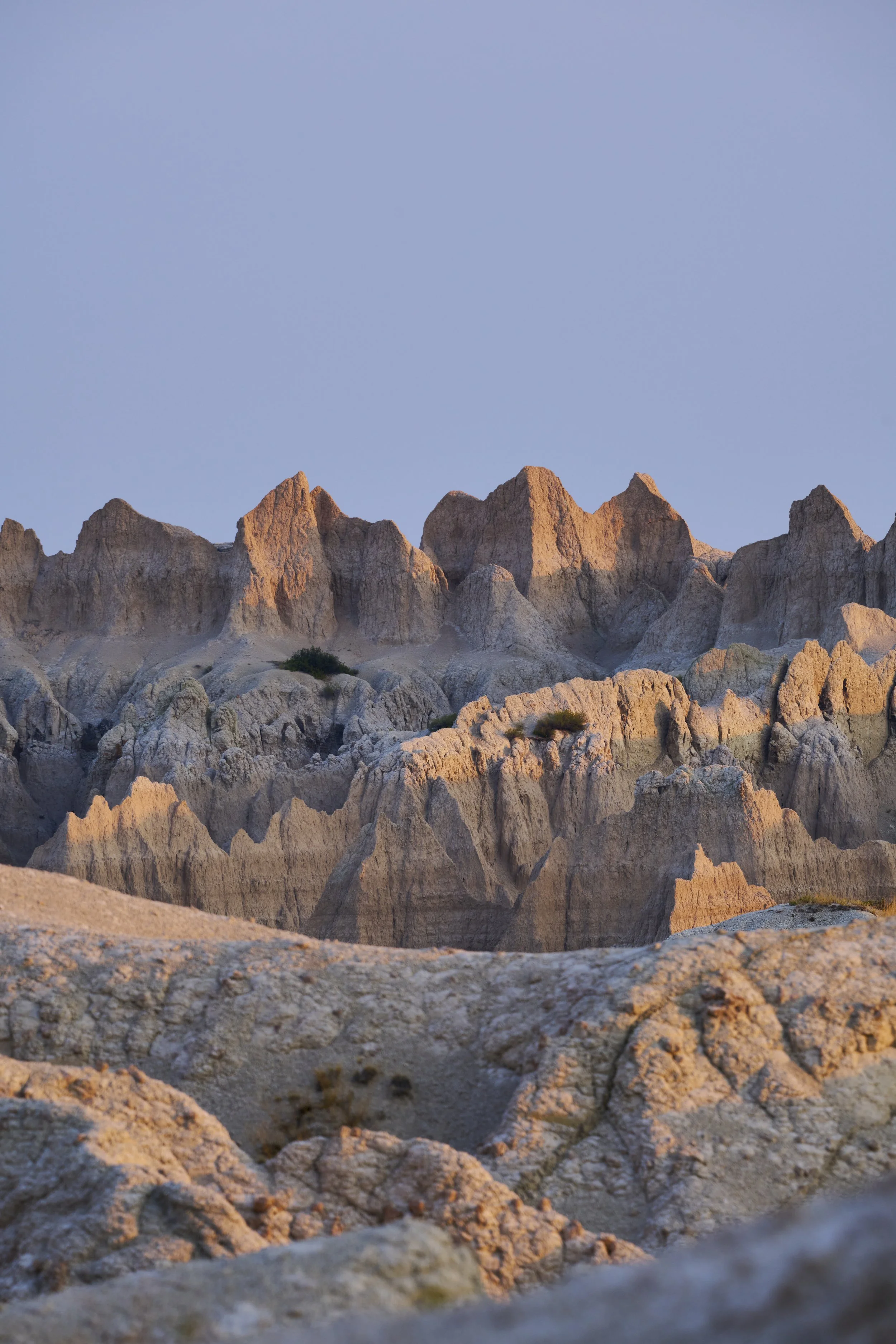 _DSC9927.jpg