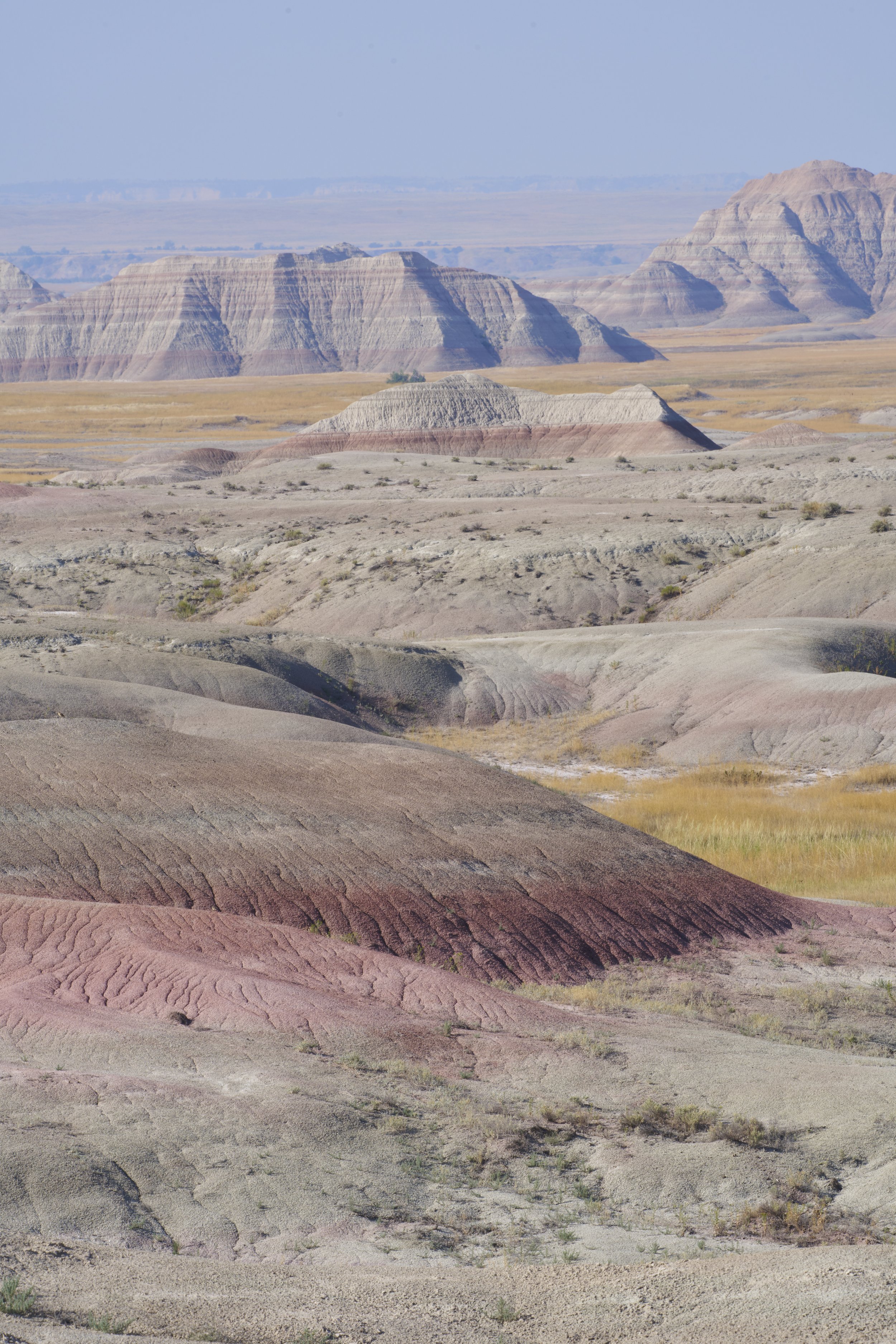 _DSC0354.jpg