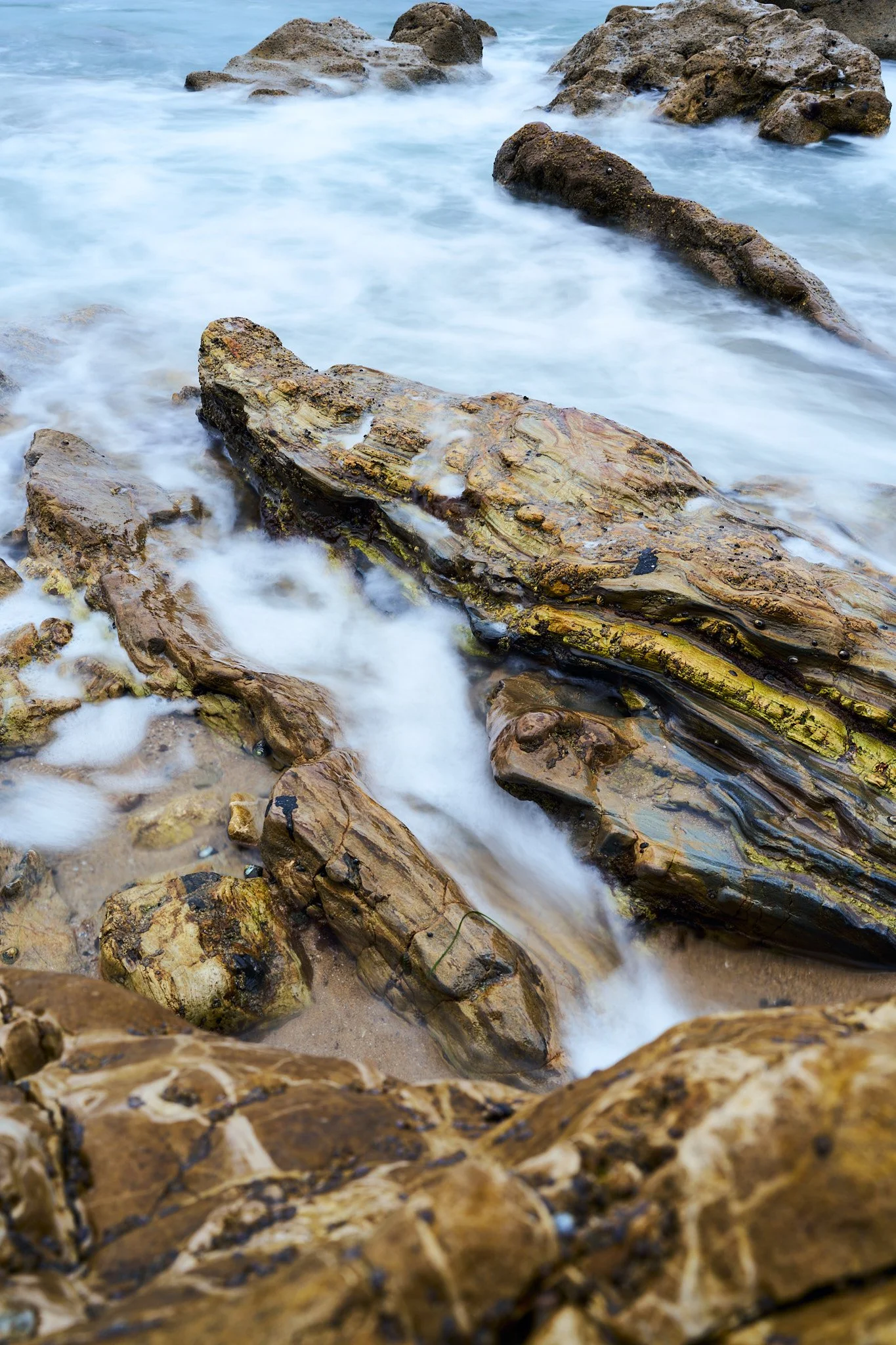 _DSC0108.jpg