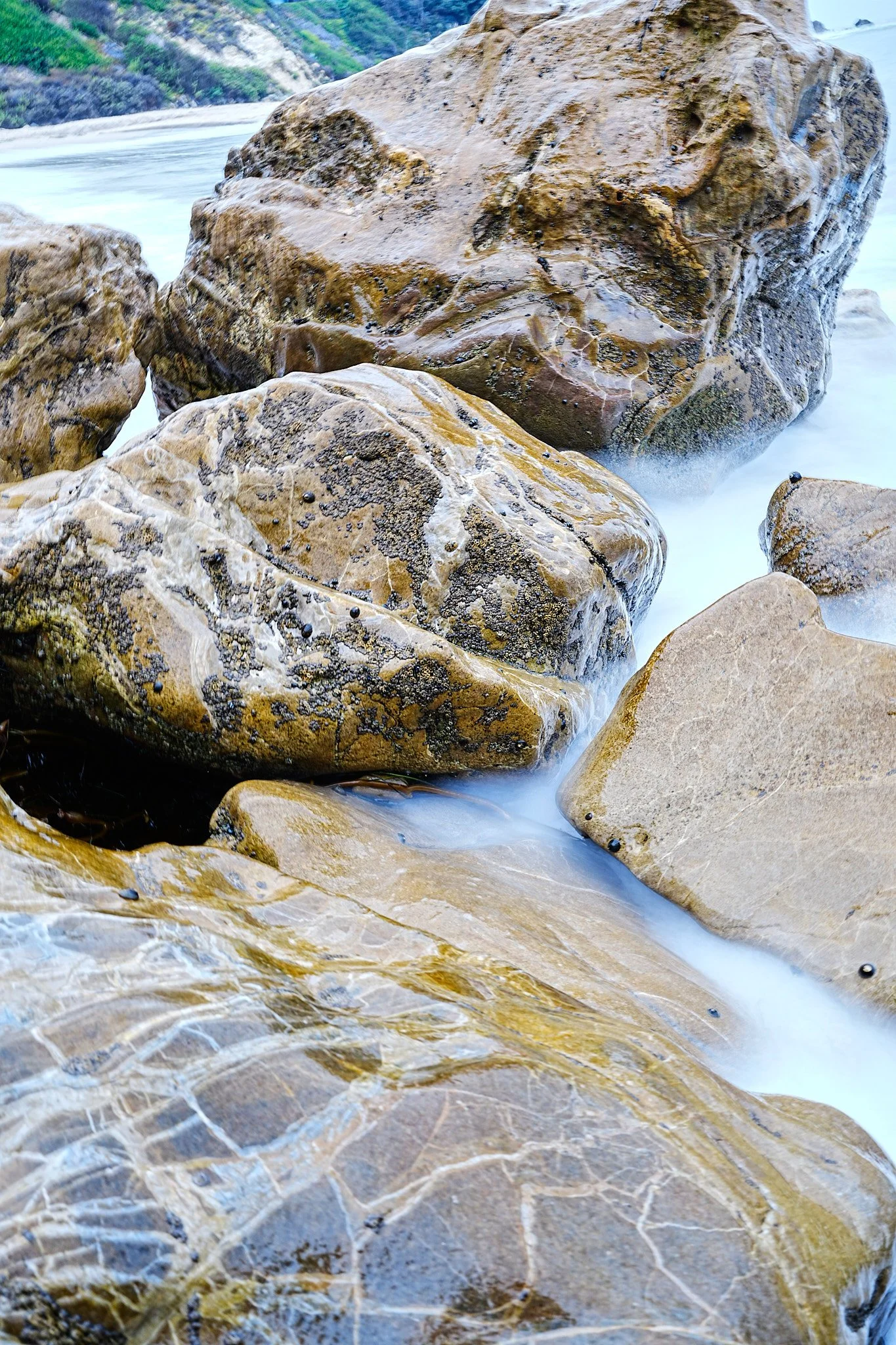 _DSC0113.jpg