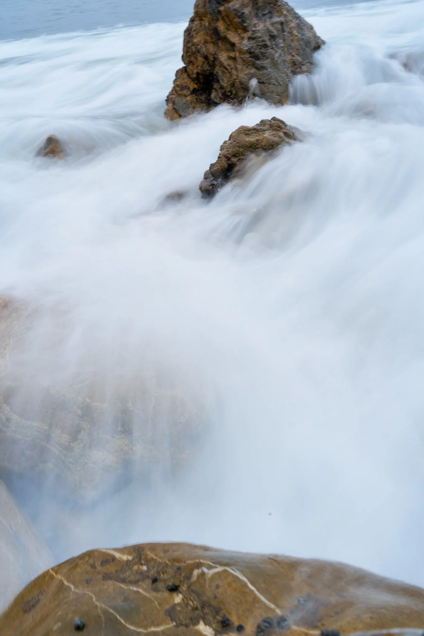 _DSC0115.jpg