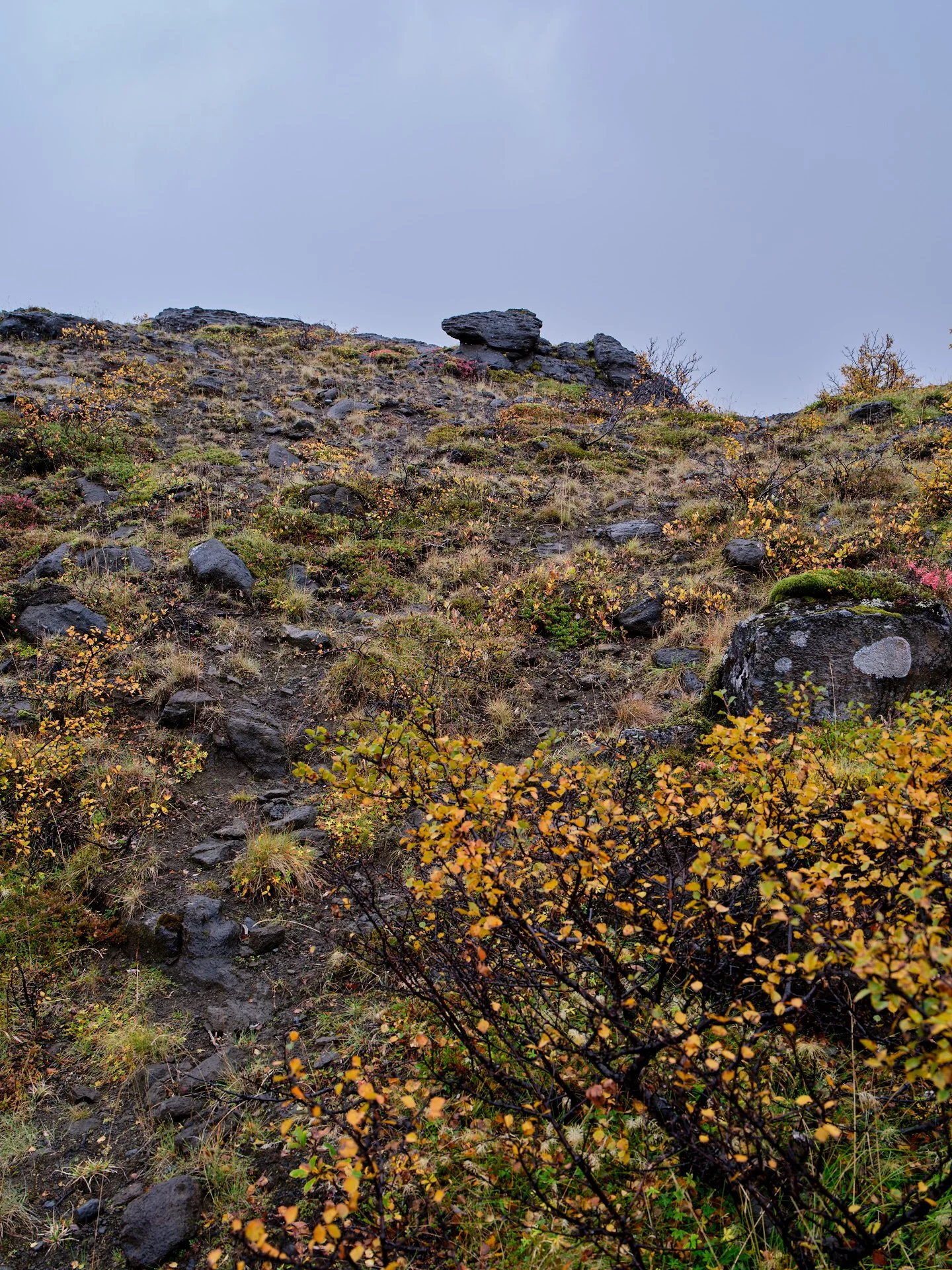 DSCF0015_1.jpg
