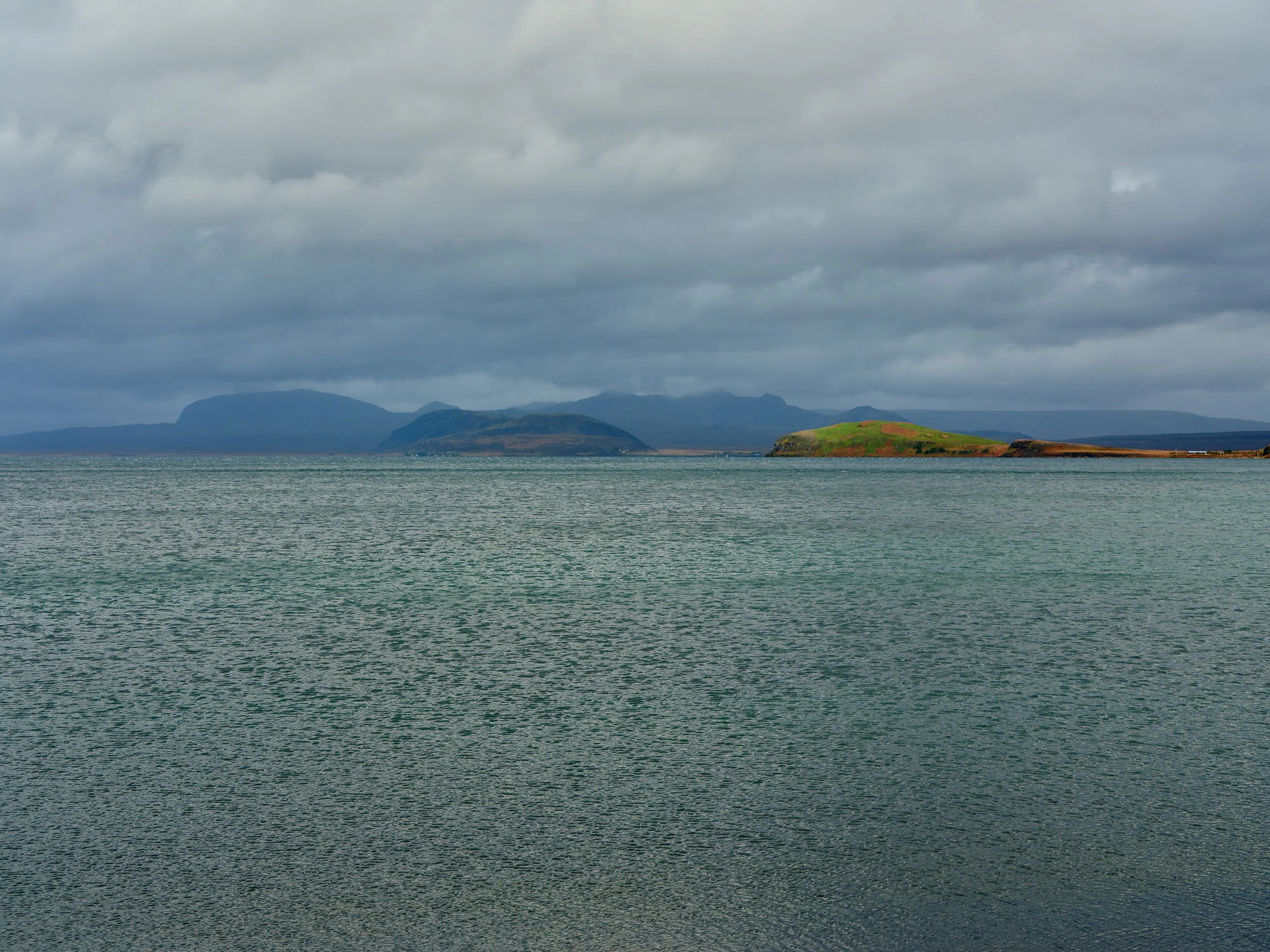 DSCF0078_1.jpg