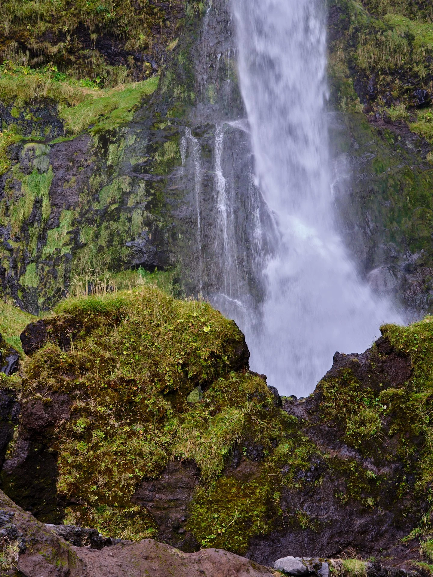 DSCF0084_1.jpg