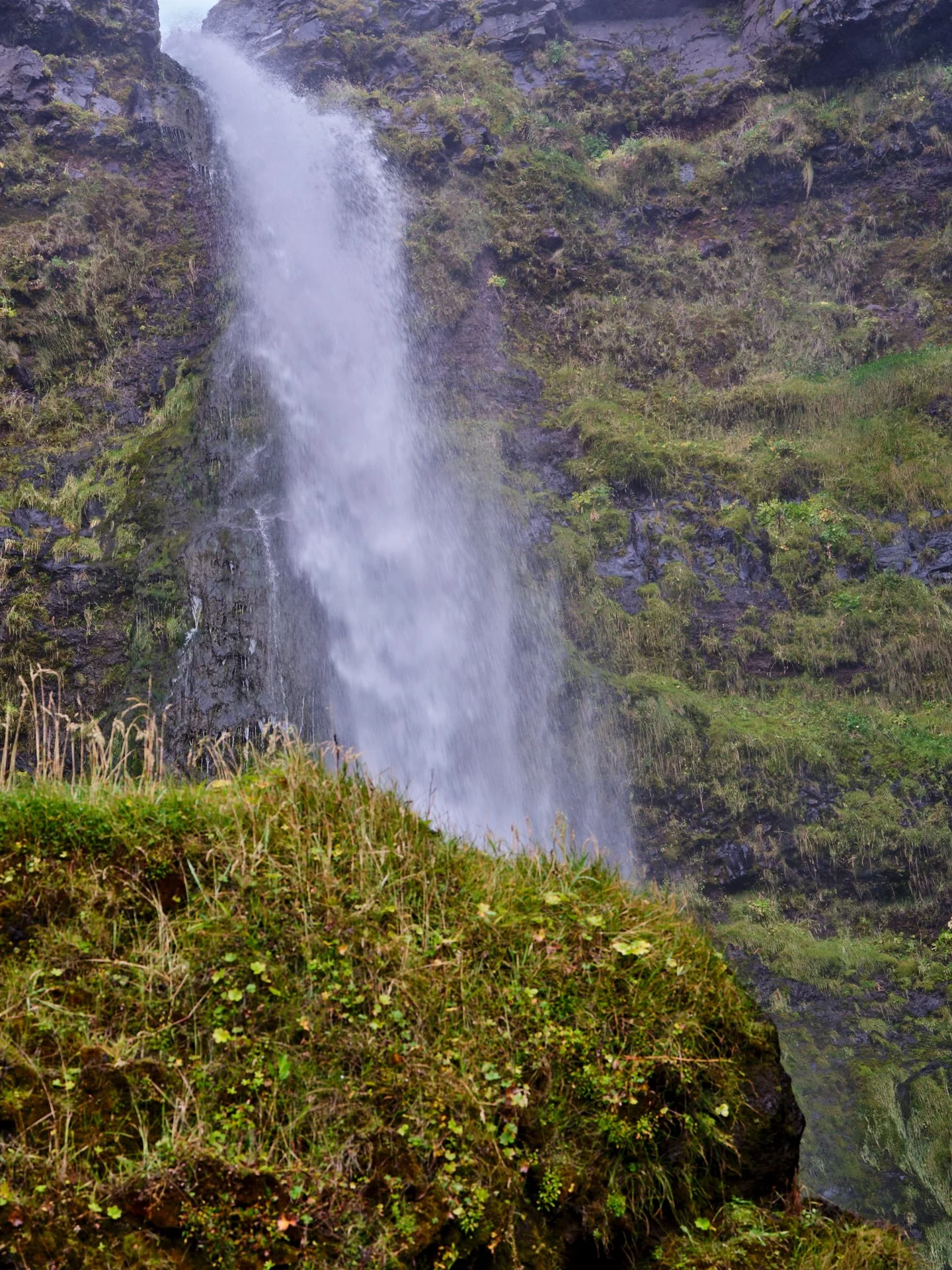 DSCF0087_1.jpg