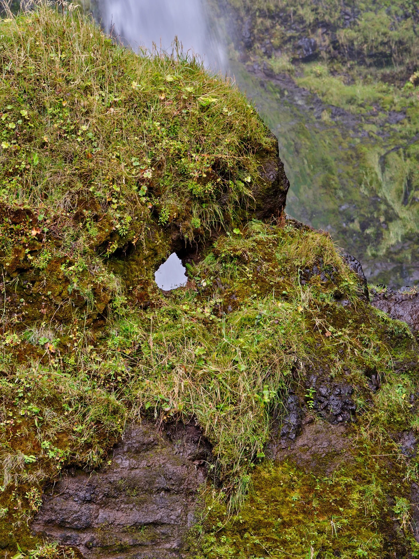 DSCF0088_1.jpg
