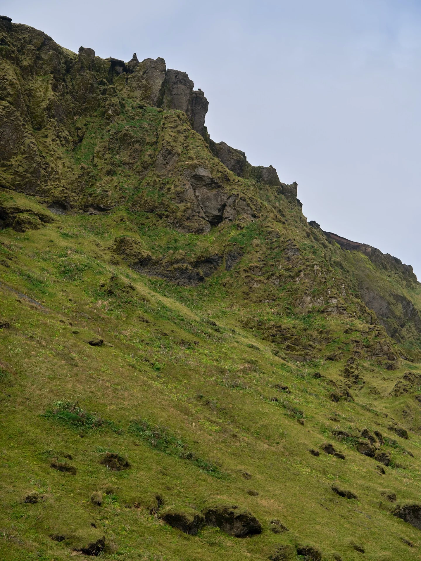 DSCF0122_1.jpg