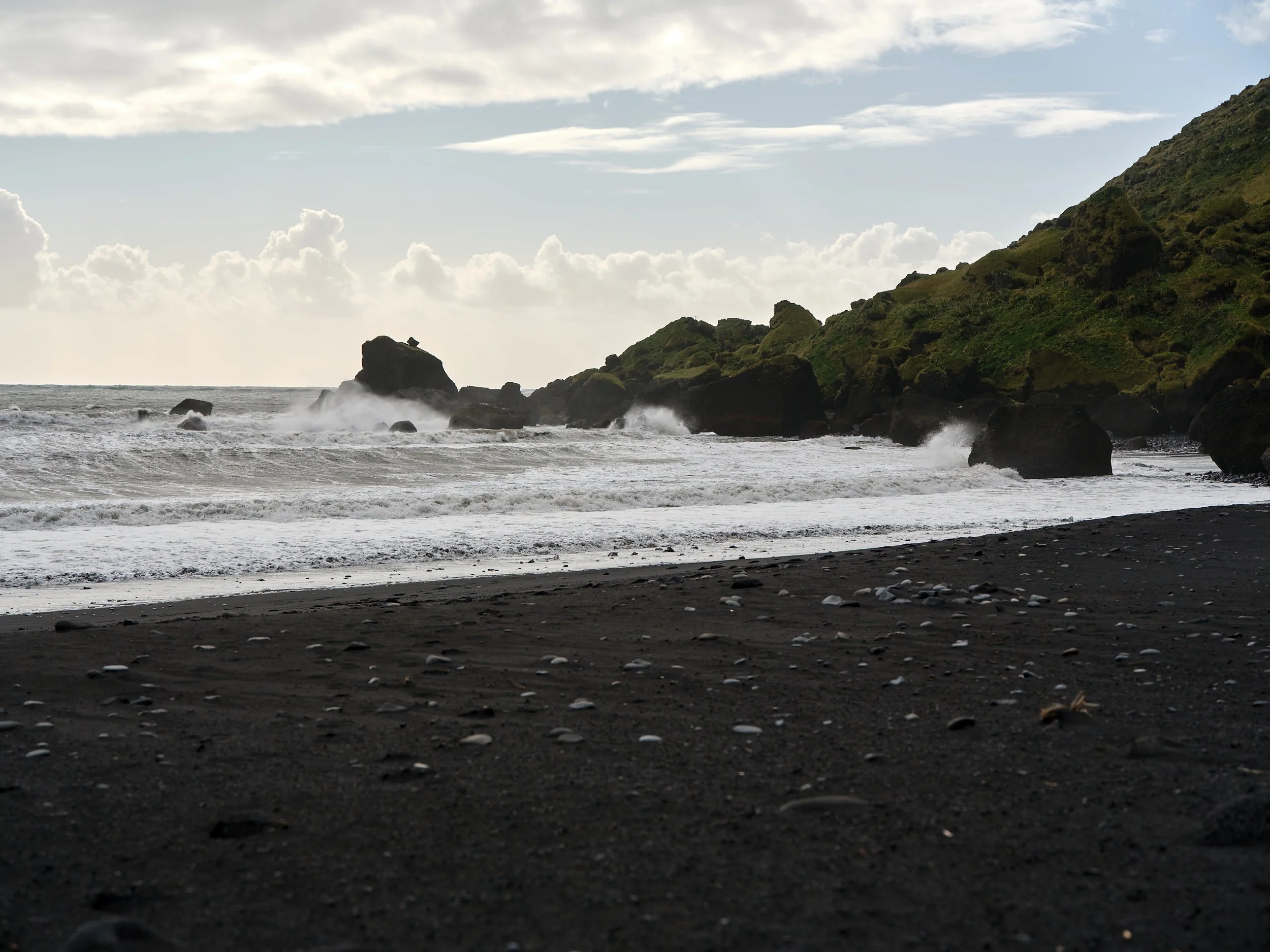 DSCF0124_1.jpg