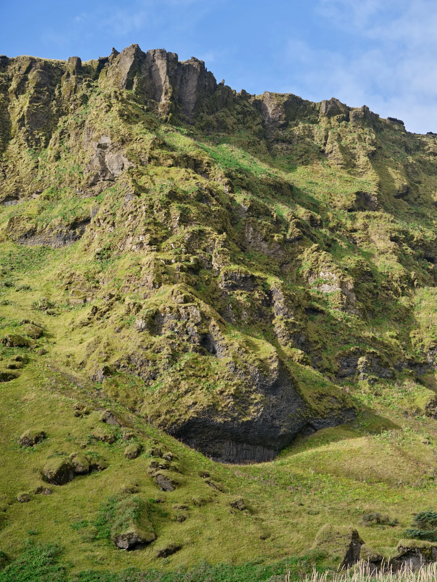 DSCF0153_1.jpg