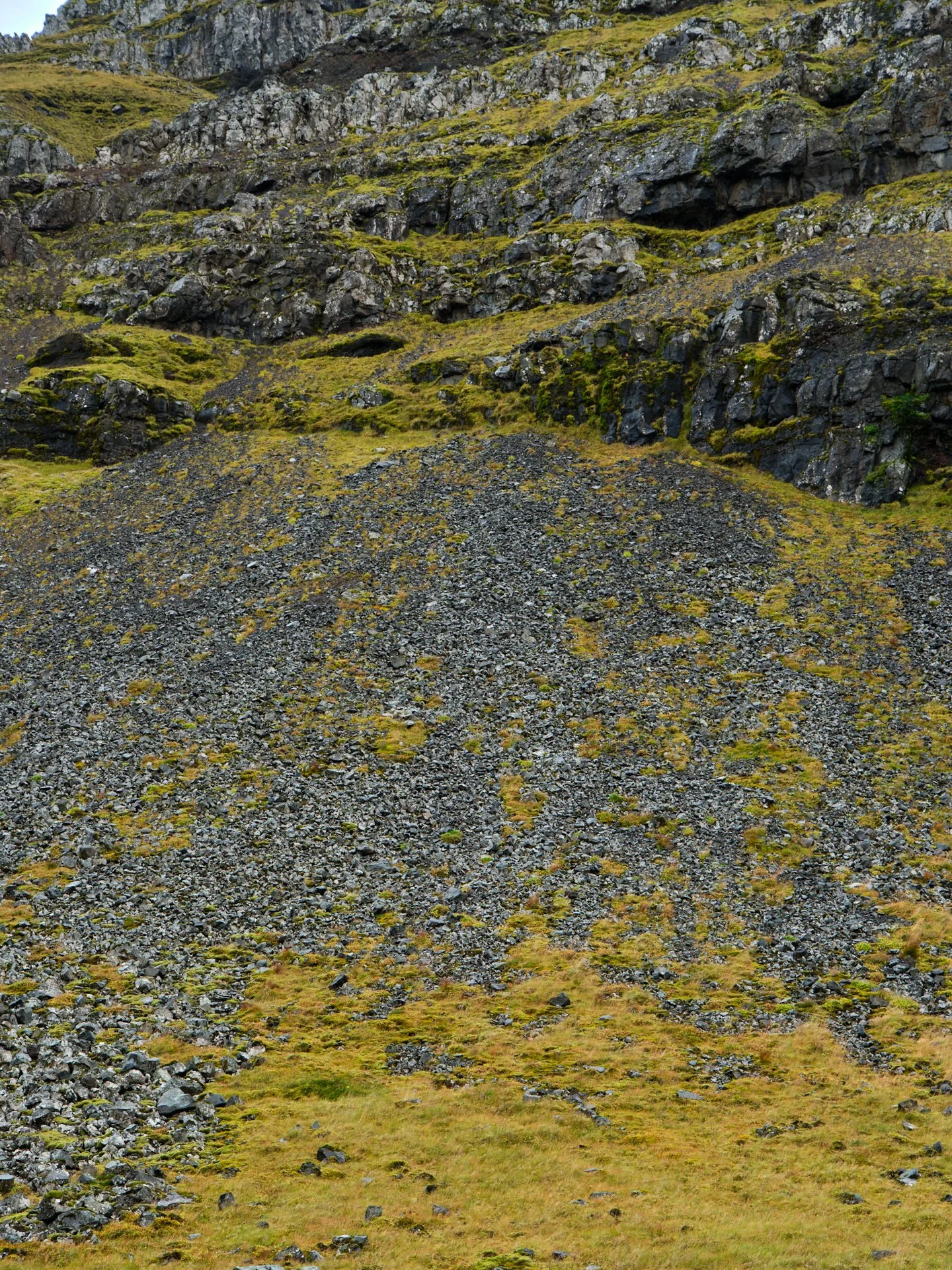 DSCF0157_1.jpg