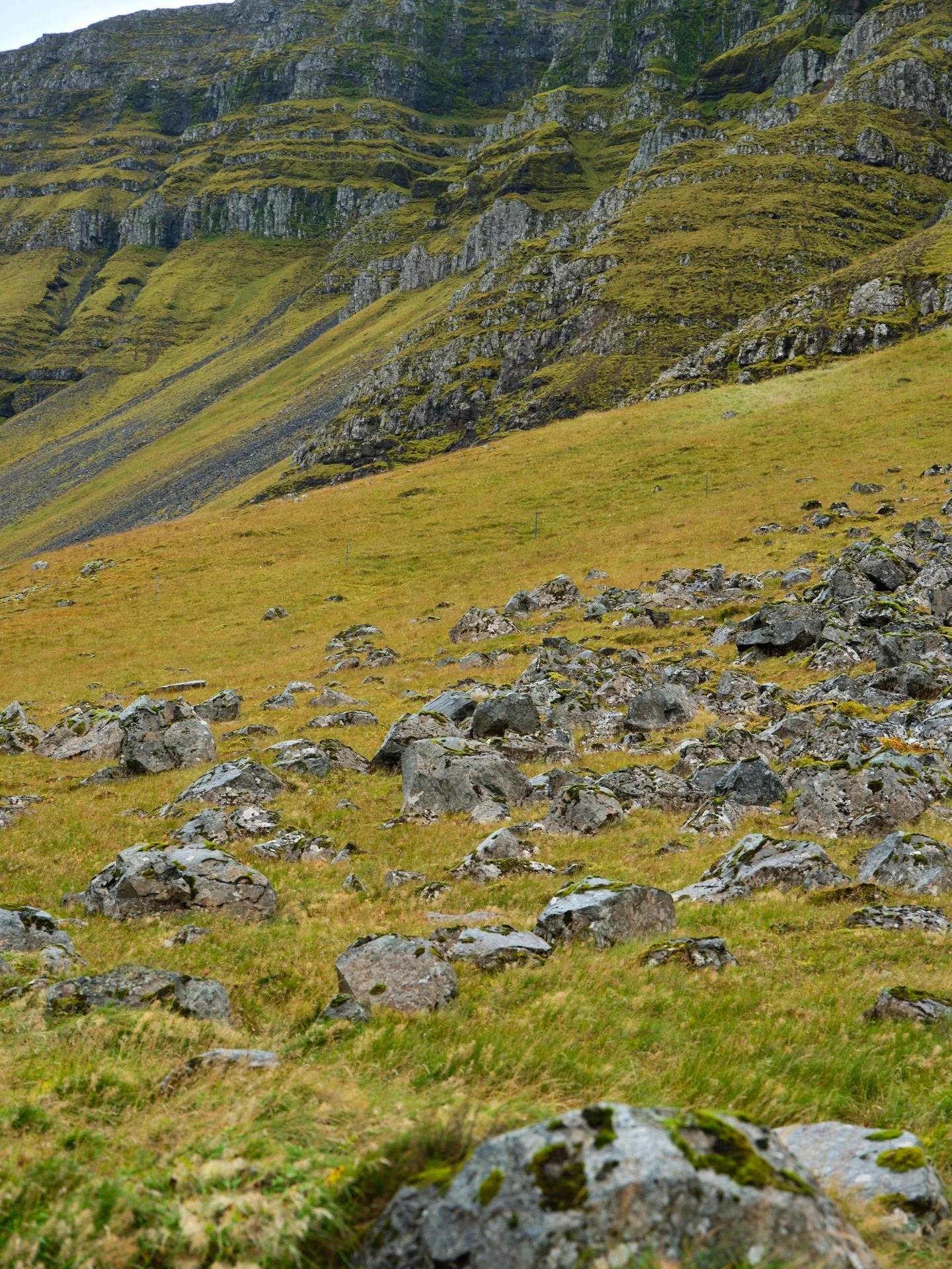 DSCF0159_1.jpg