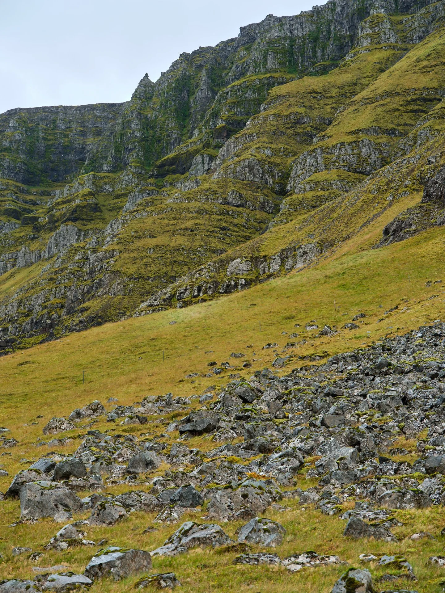 DSCF0160_1.jpg