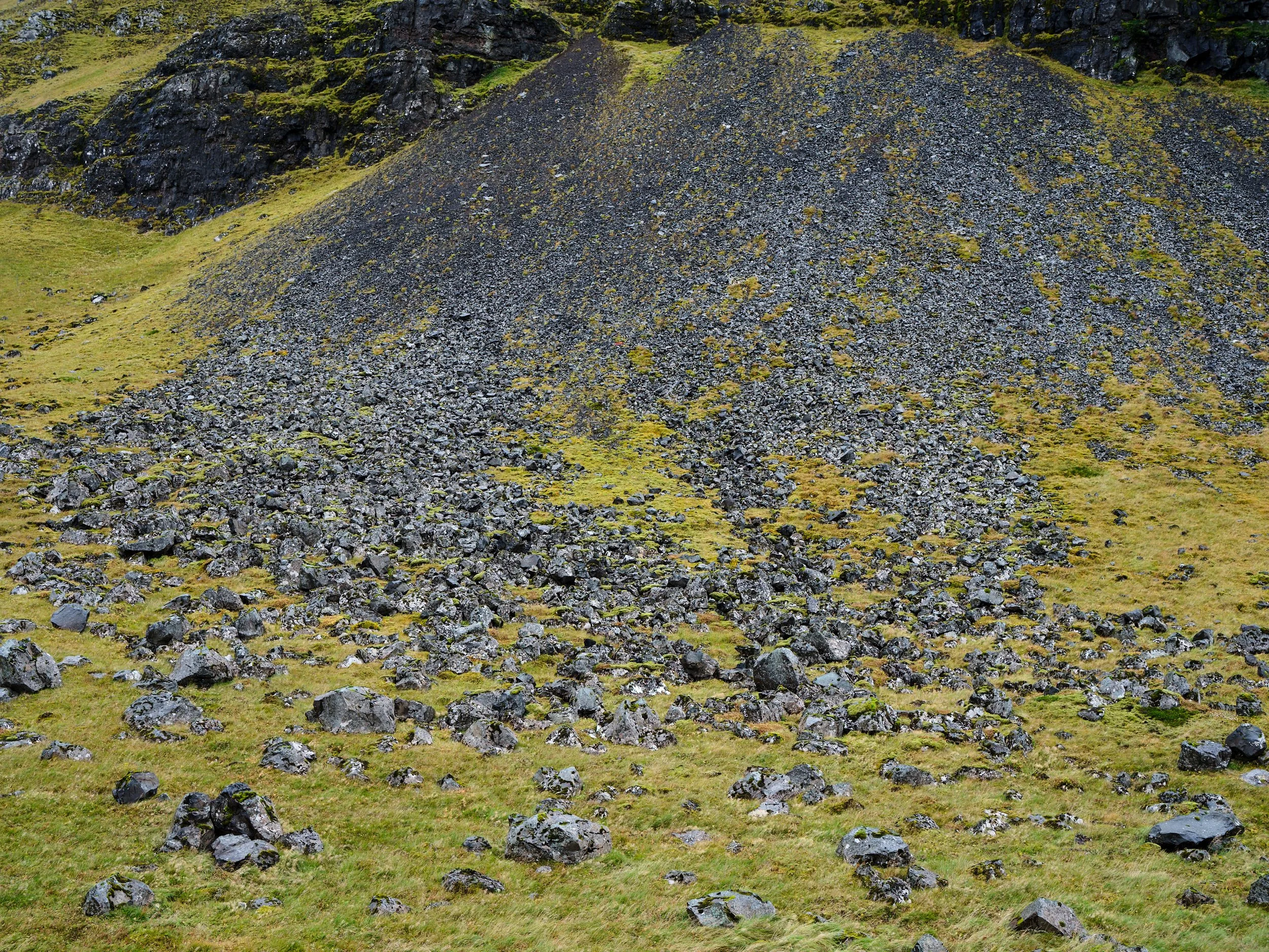 DSCF0166_1.jpg