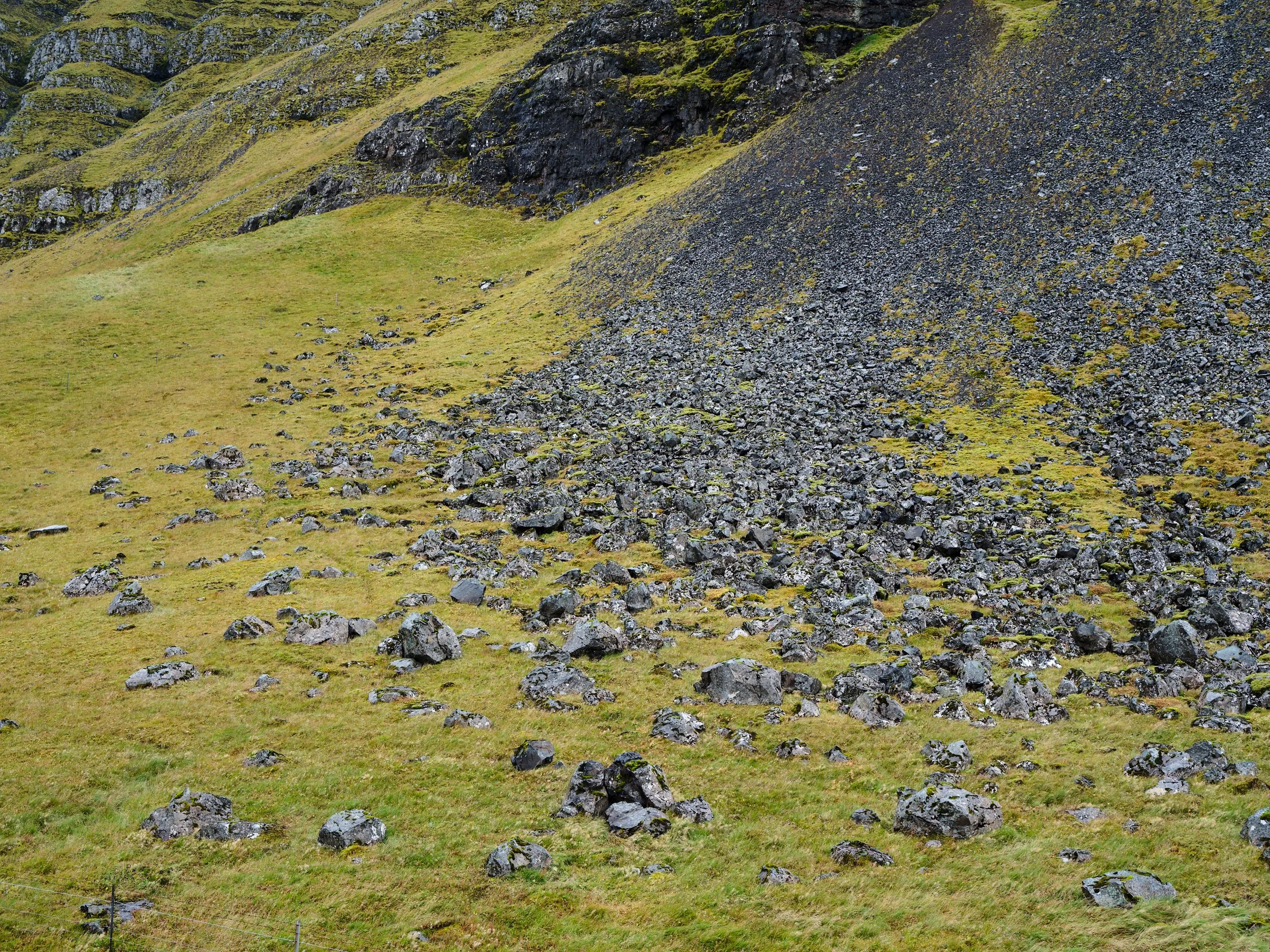 DSCF0167_1.jpg