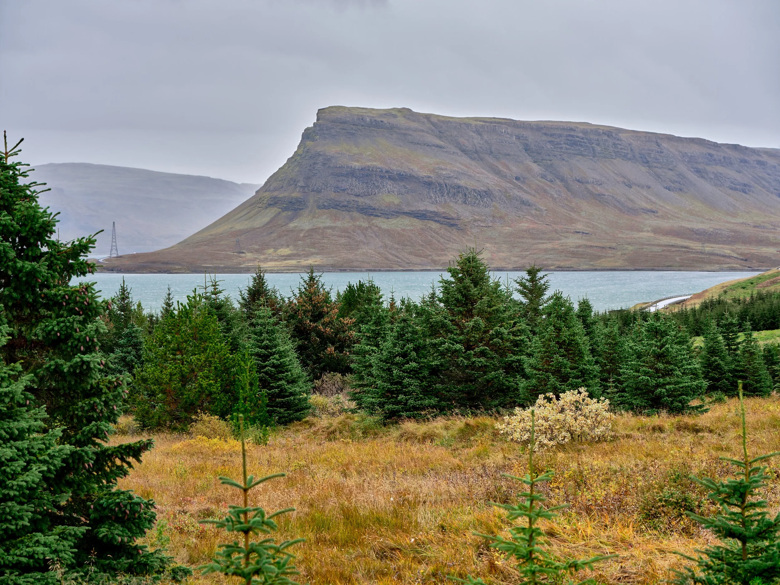 DSCF0184_1.jpg
