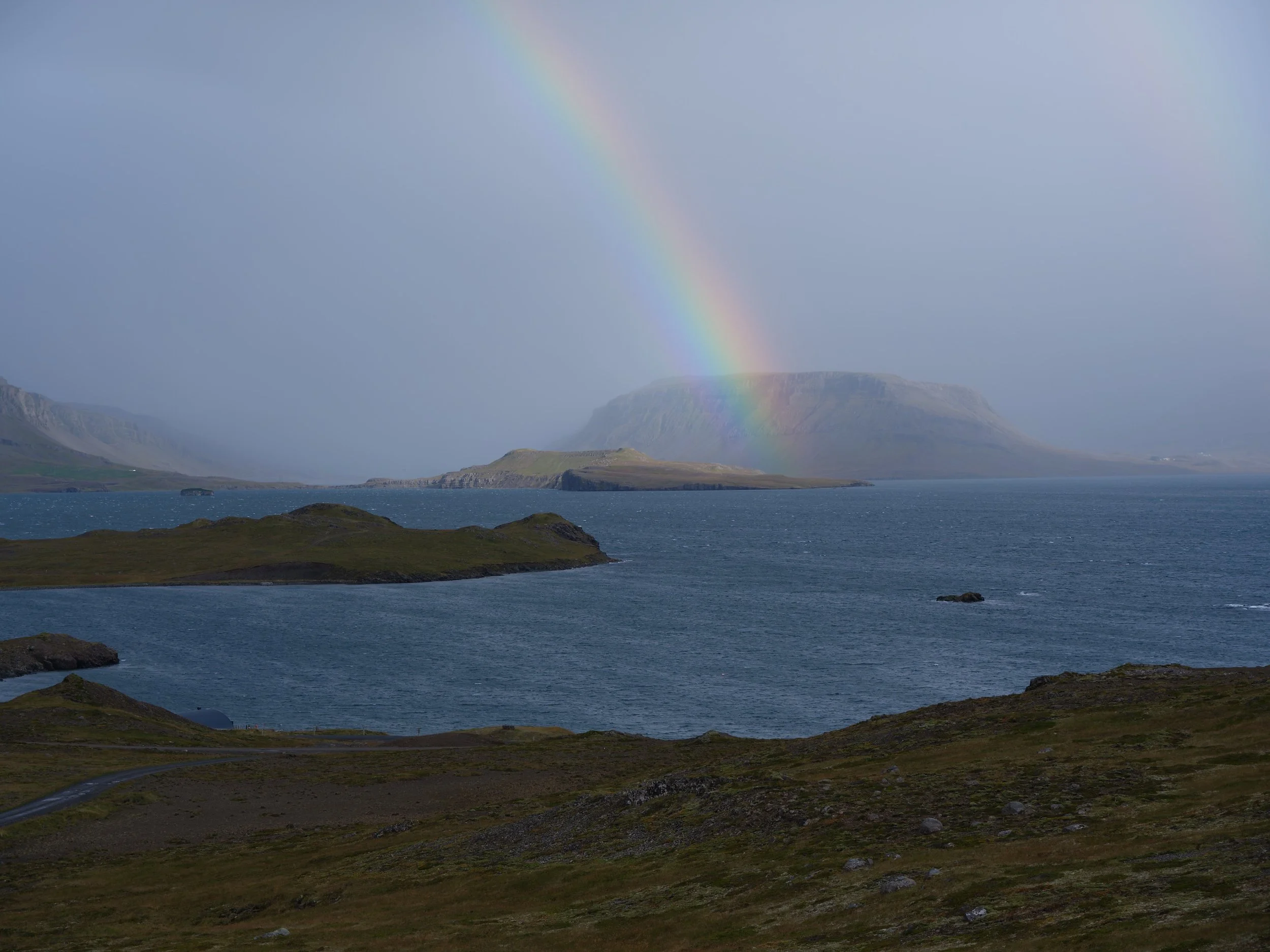 DSCF0186_1.jpg