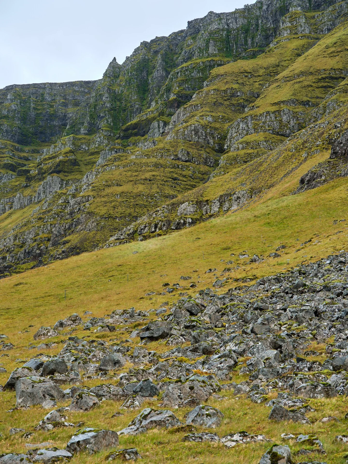 DSCF0197_1.jpg