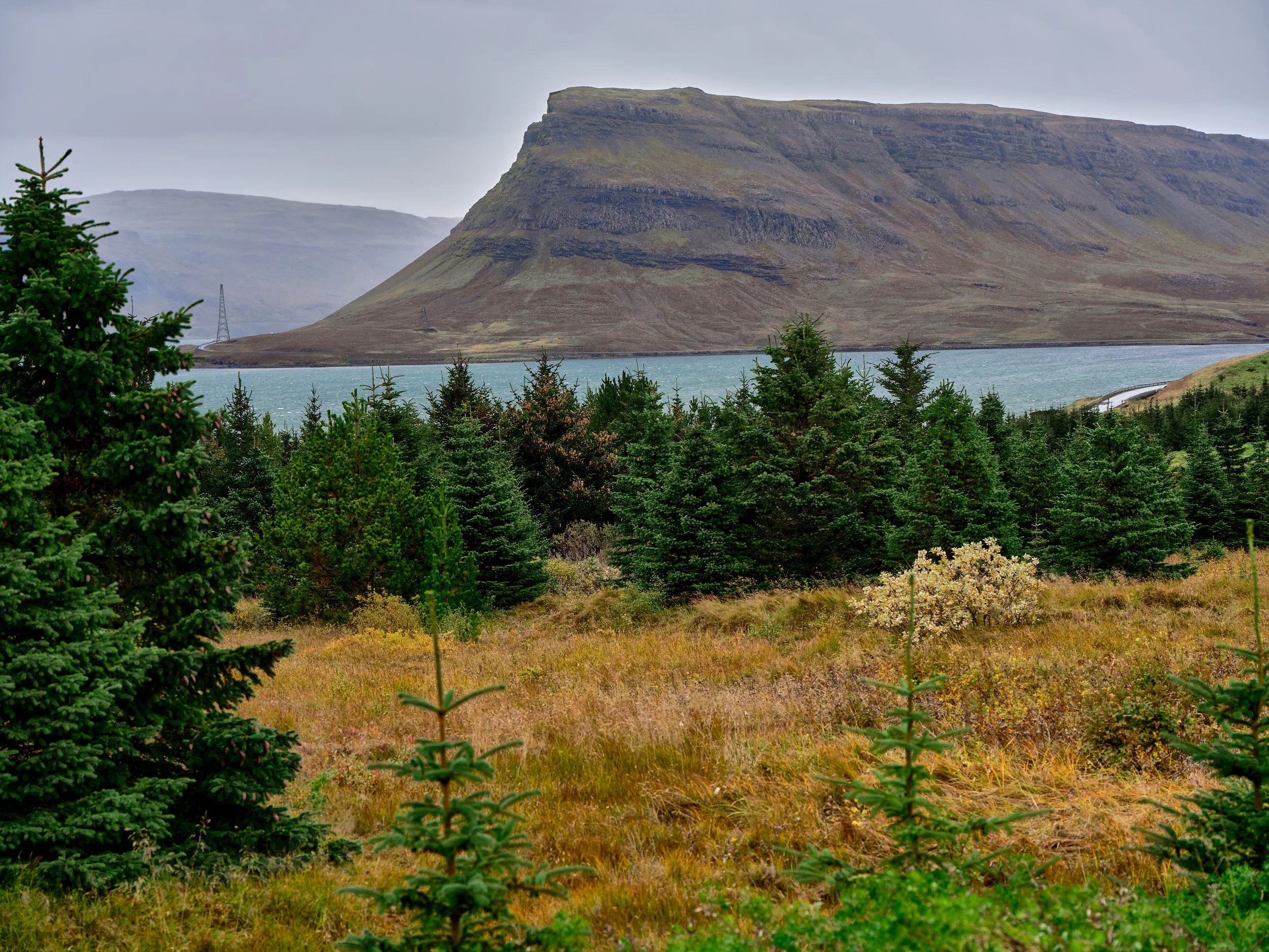 DSCF0222_1.jpg