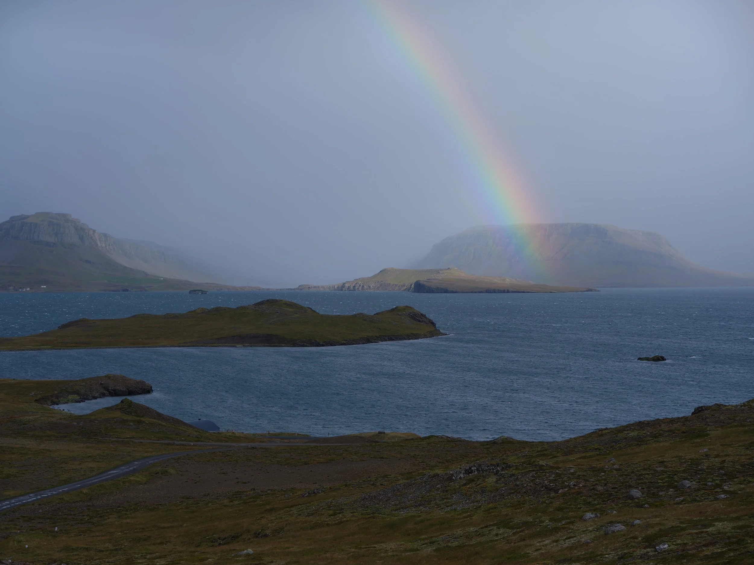 DSCF0224_1.jpg