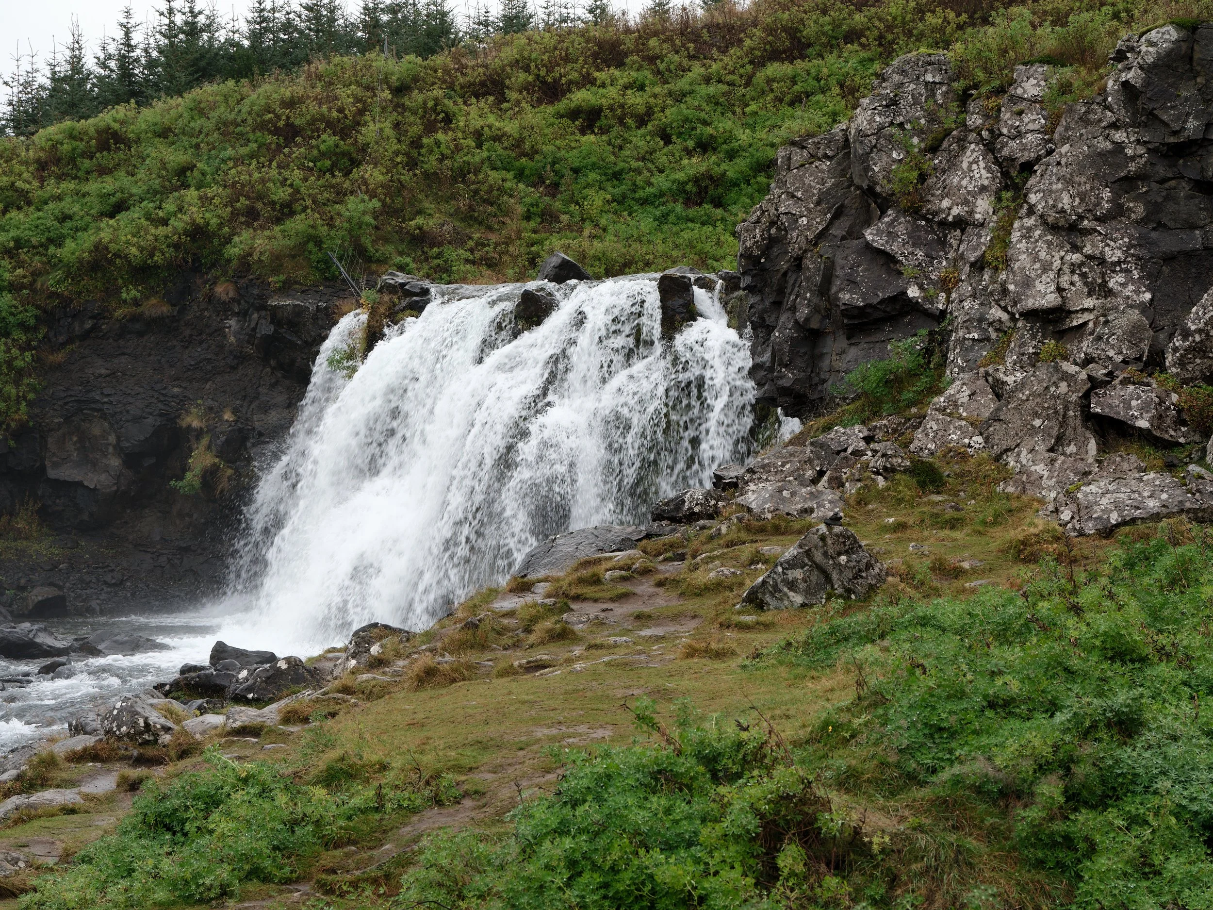 DSCF0234_1.jpg