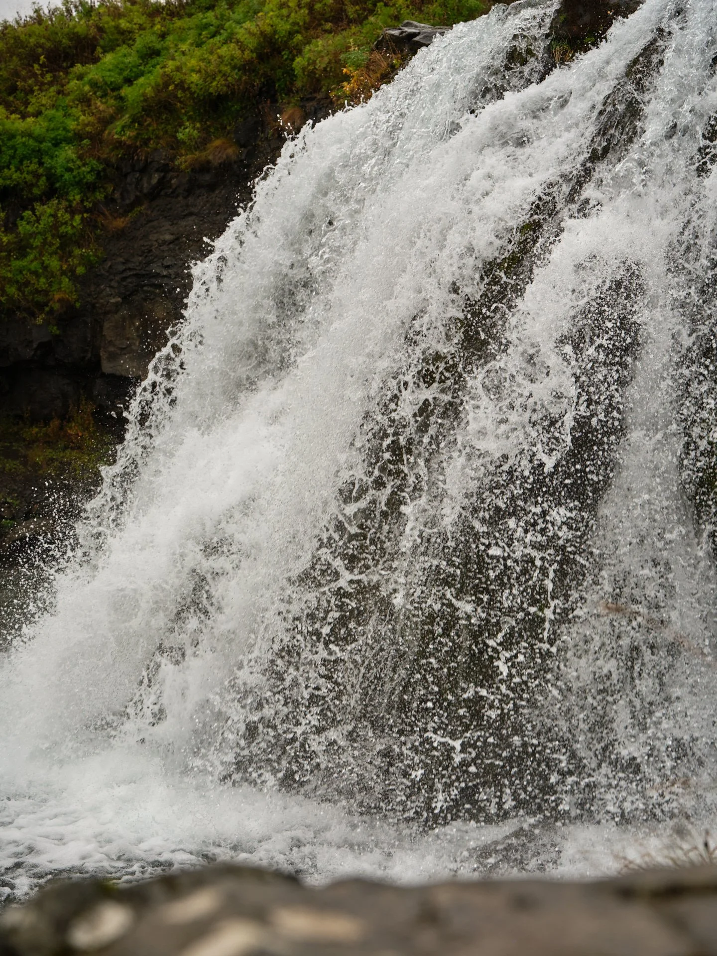 DSCF0242_1.jpg