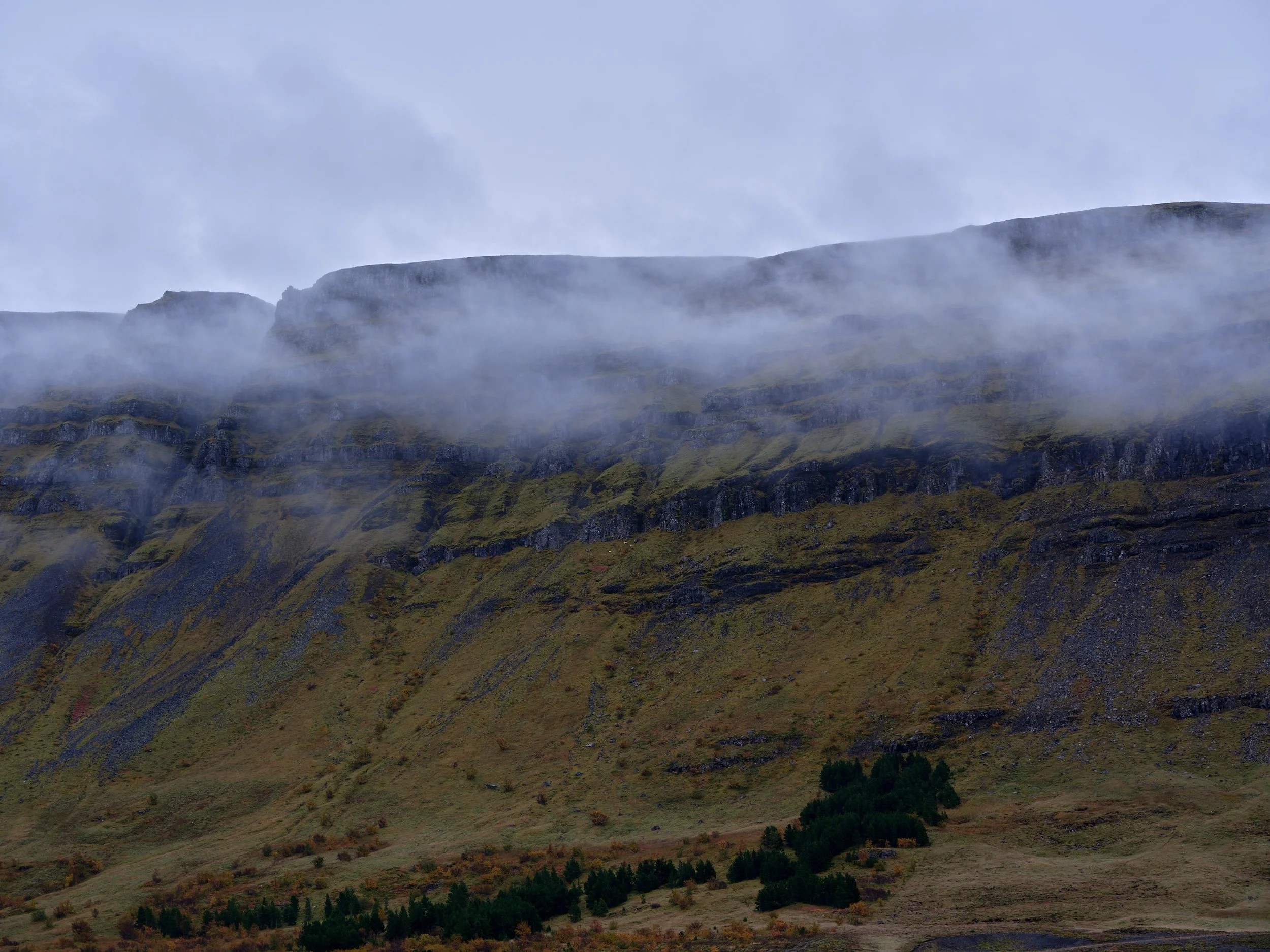 DSCF0256_1.jpg