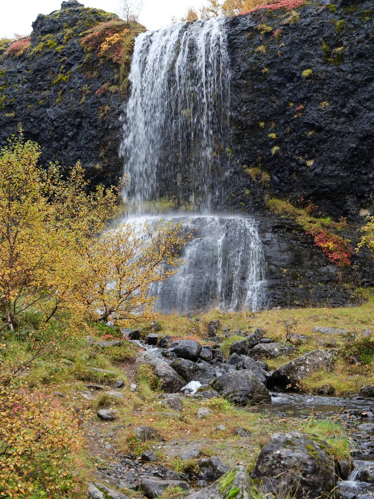 DSCF0258_1.jpg
