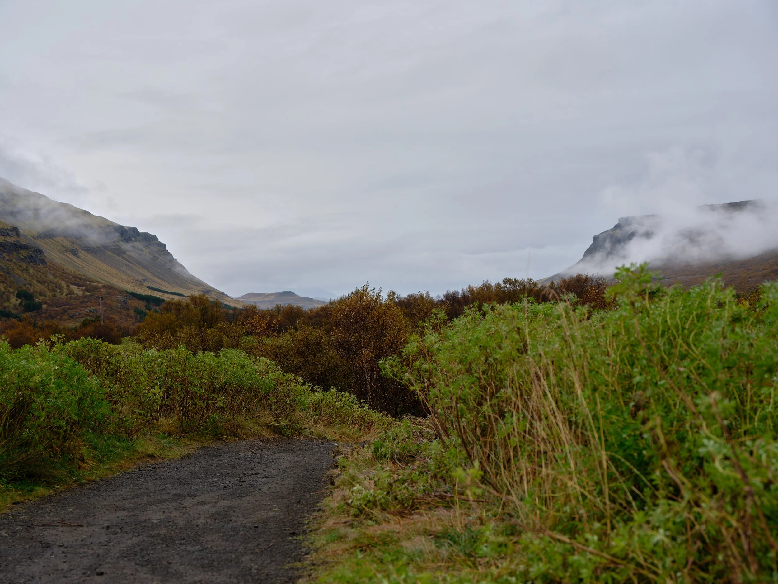 DSCF0266_1.jpg