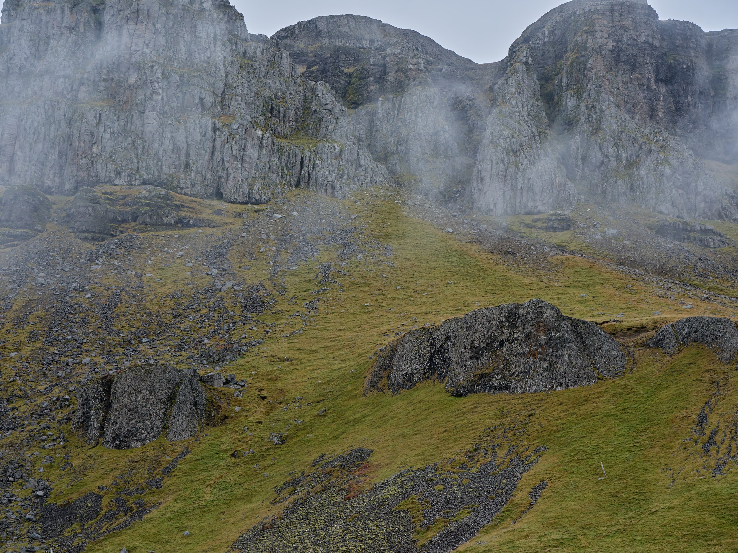 DSCF0272_1.jpg