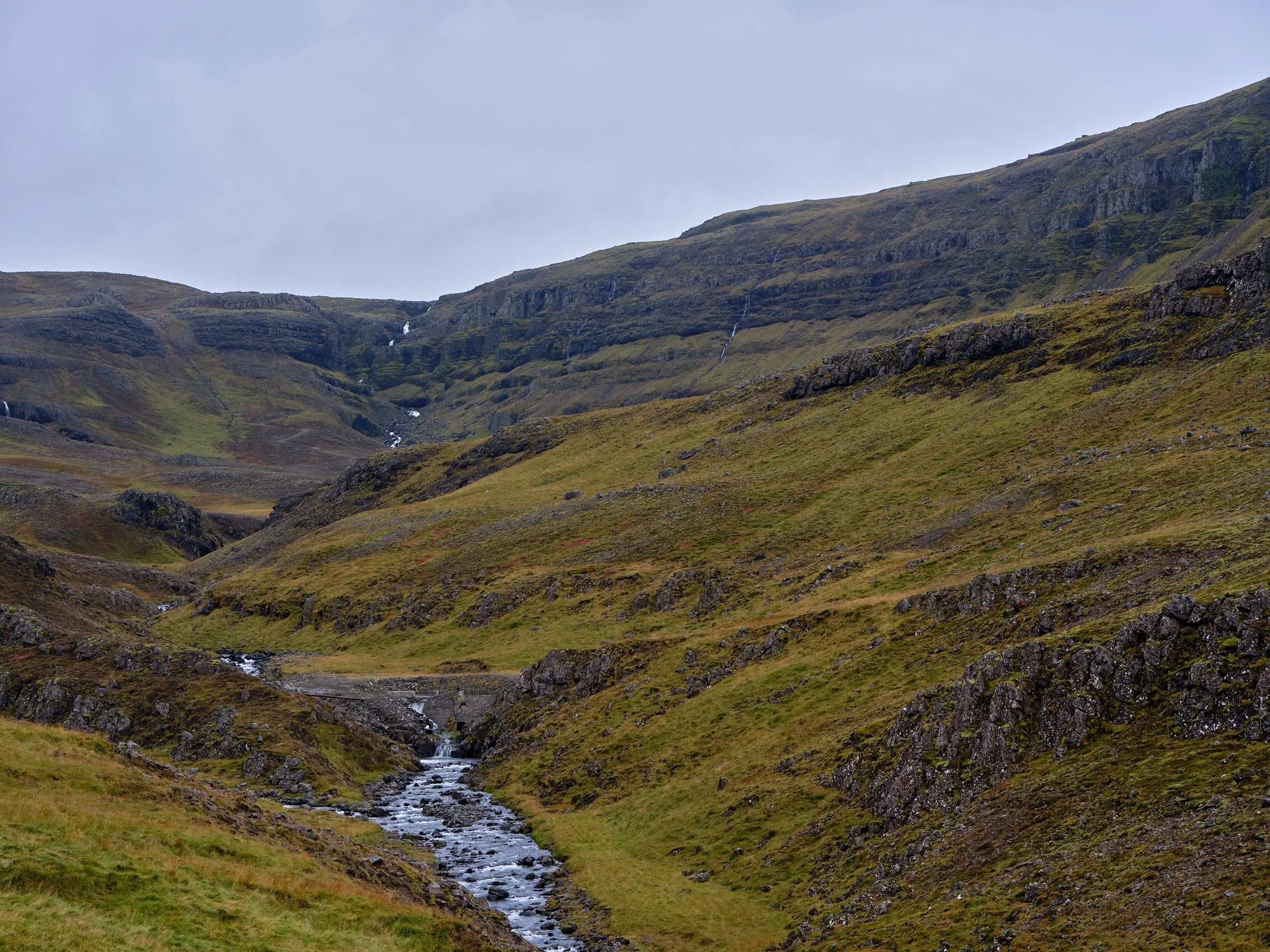 DSCF0276_1.jpg