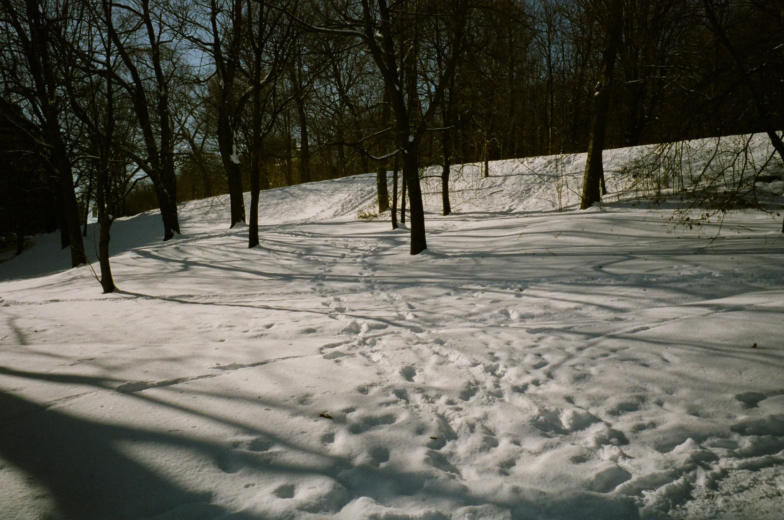 67450021.jpg