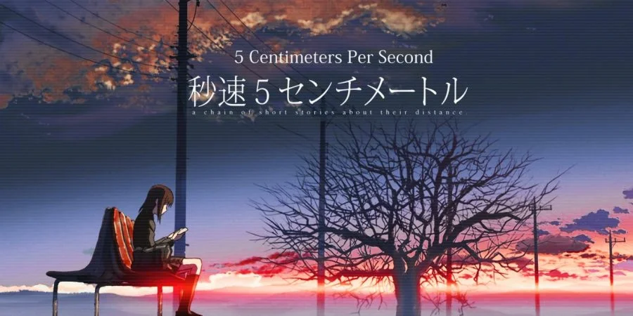 101 - Bootlegg'd - 5 Centimeters per Second
