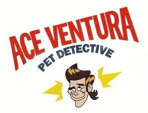 153 - Ace Ventura: Pet Detective episode artwork