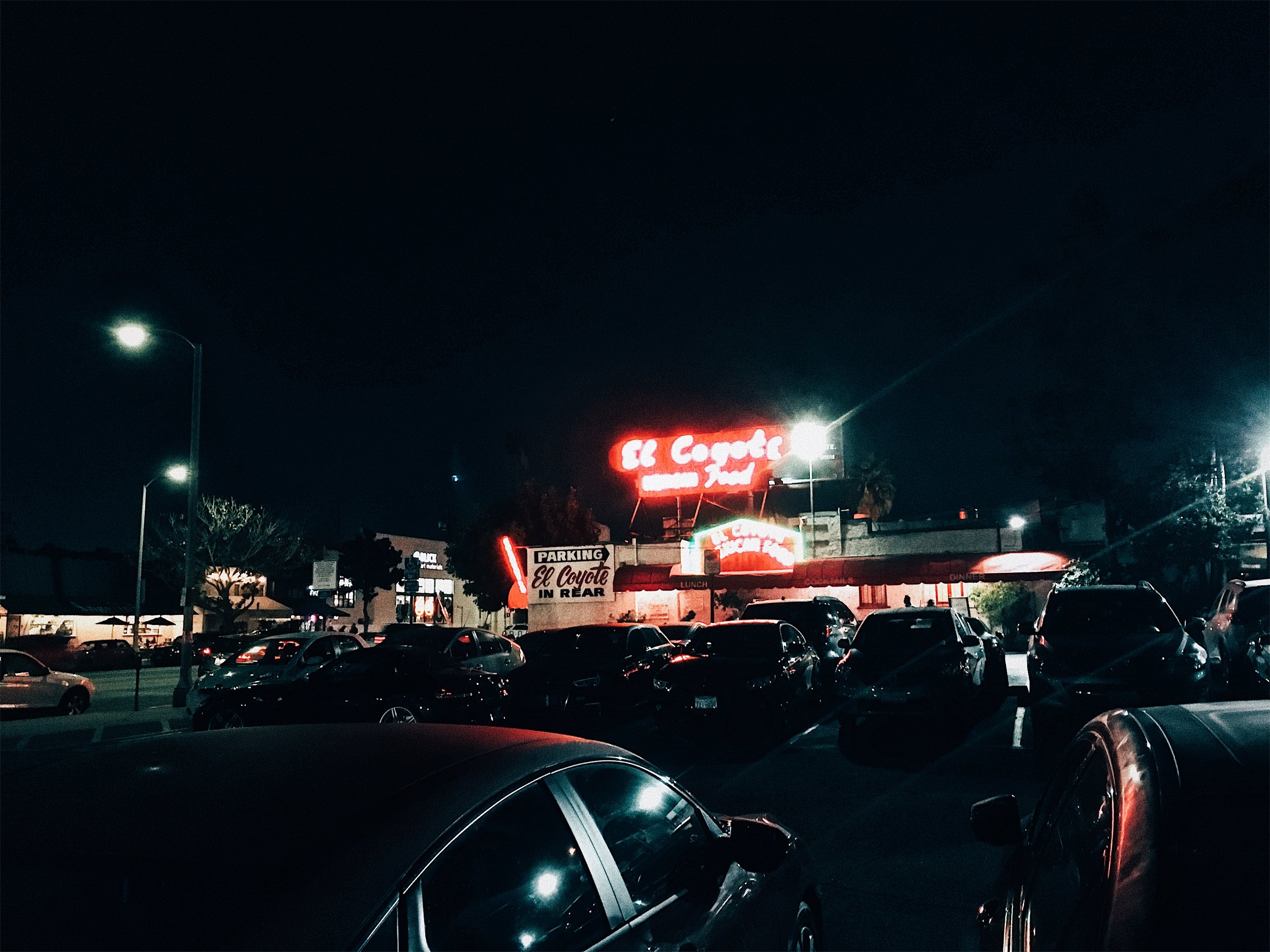 El Coyote - Alexander Beh.jpeg