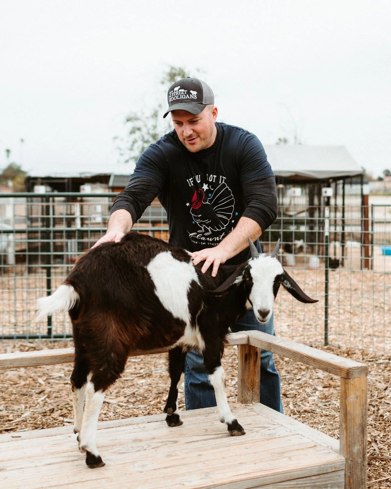Sanctuary Open House
