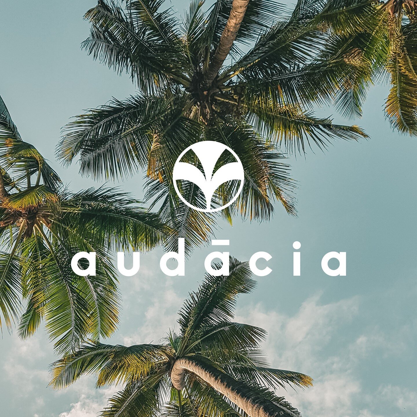 Brand identity for @audacia.fit⁠
⁠
Director Cayde Cheney has a strong affiliation and attraction to the Palm Tree and the Tree of Life mythology. It embodies everything she is and stands for. ⁠
⁠
The palm tree holds strong symbolism across cultures; 