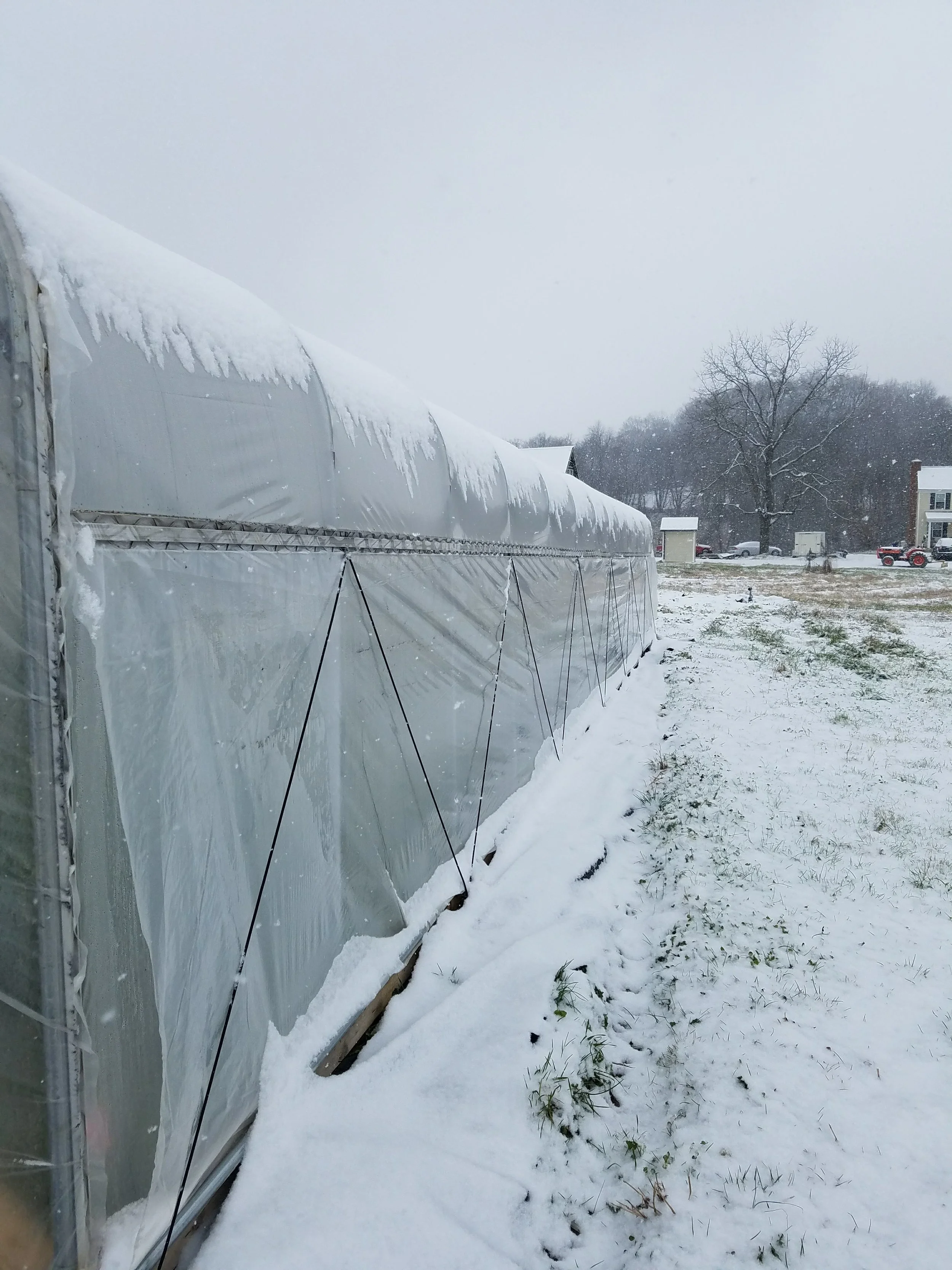 20171209_104615.jpg
