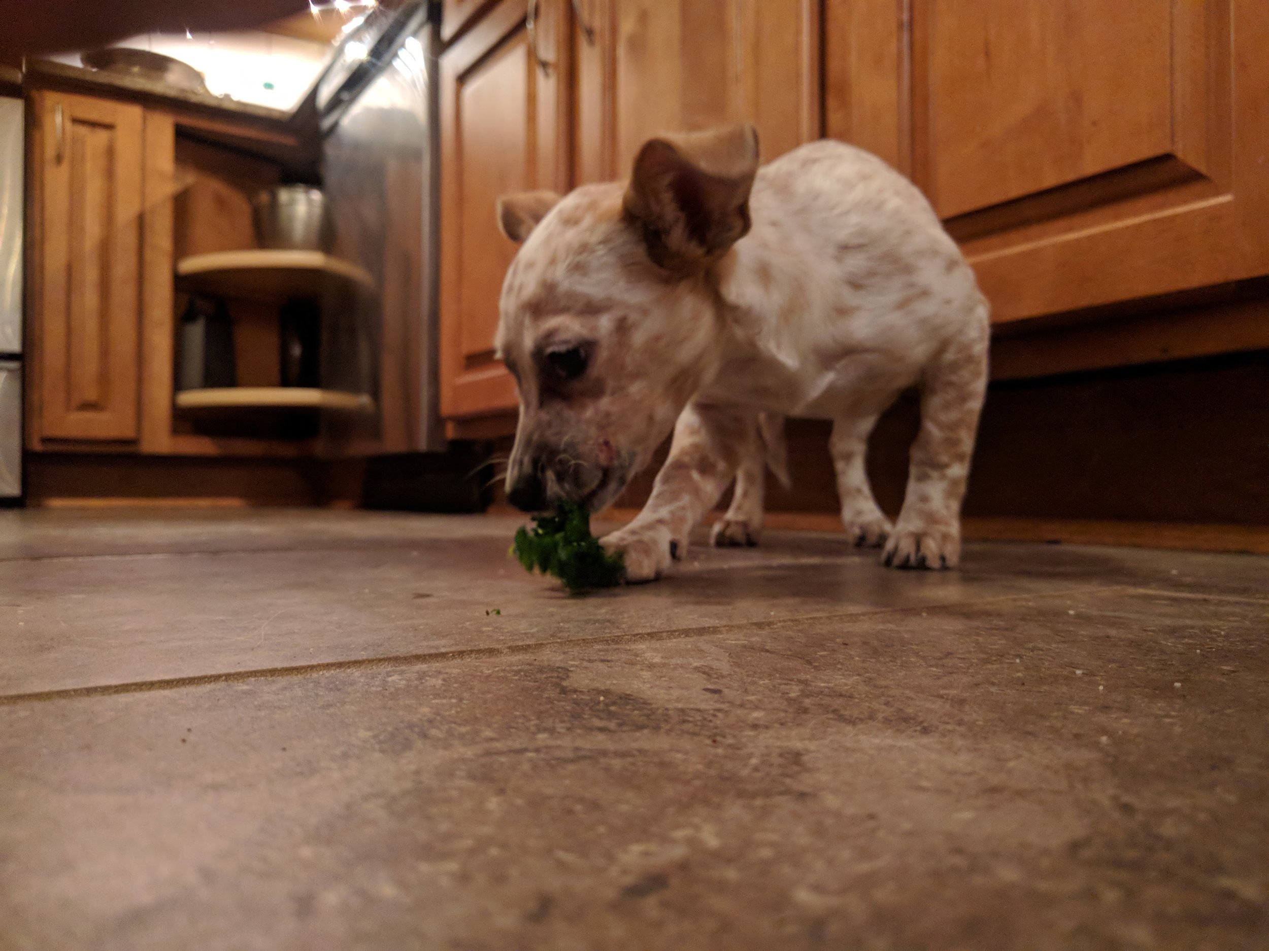 Rosey reminds you to eat your greens.