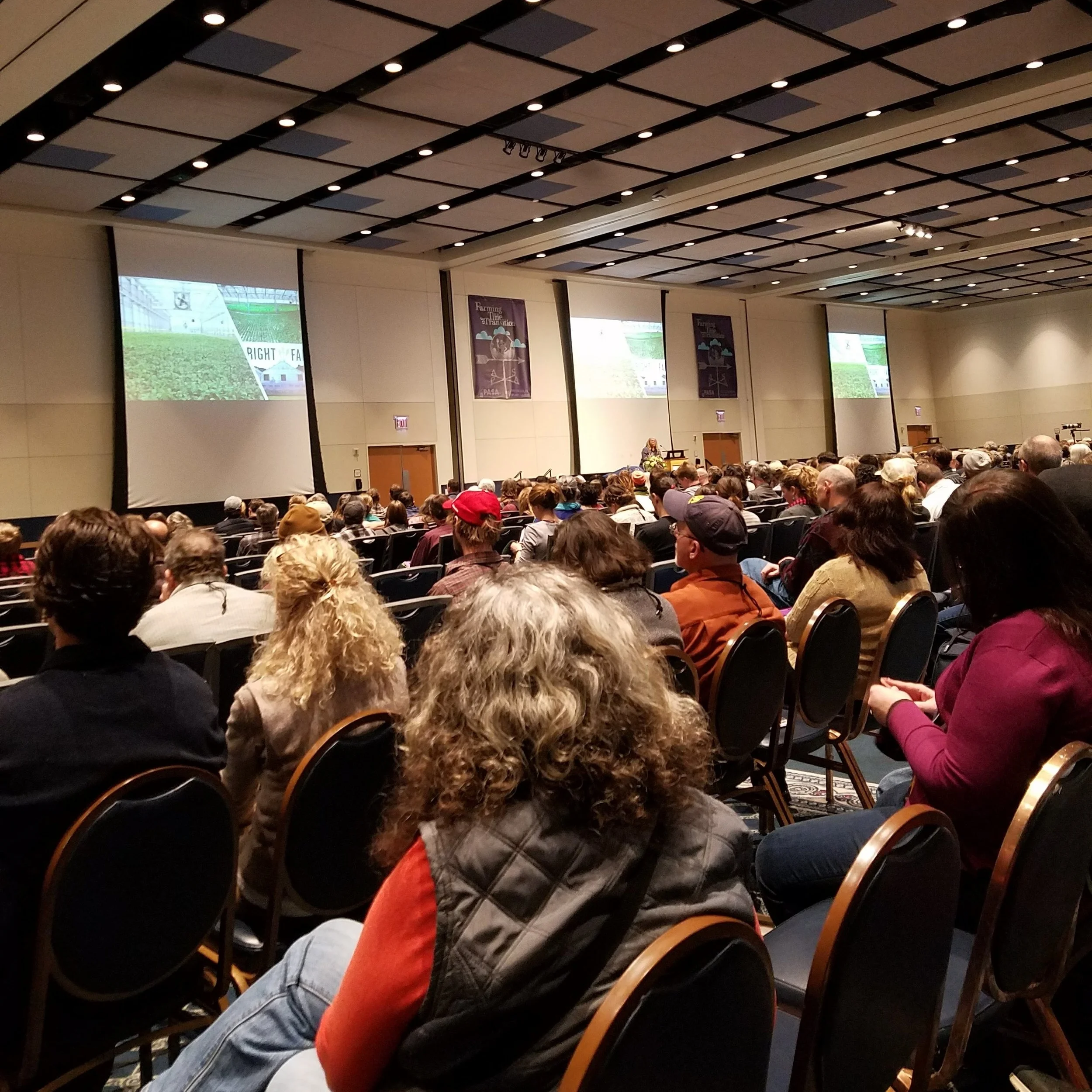 Feels like we're under the big tent, listening to Karen Washington of Rise & Roots talk about fixing inequality in the food system, feeding the world, and saving the planet in the process.