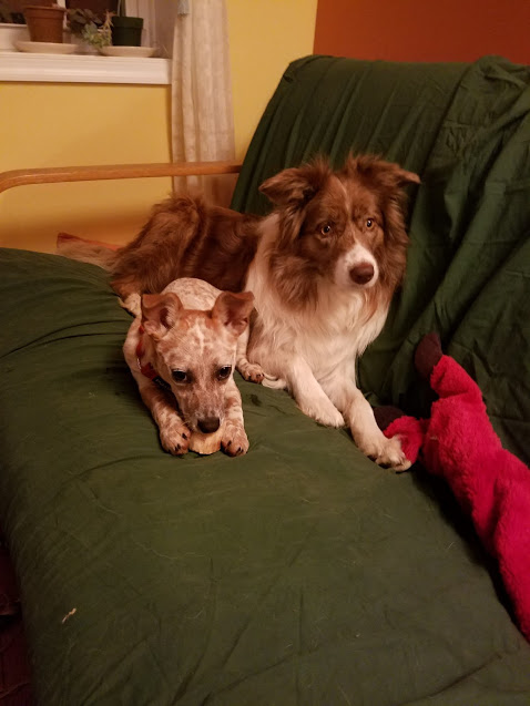 It's time to get off the couch...