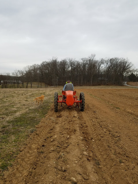 20180317_163153.jpg